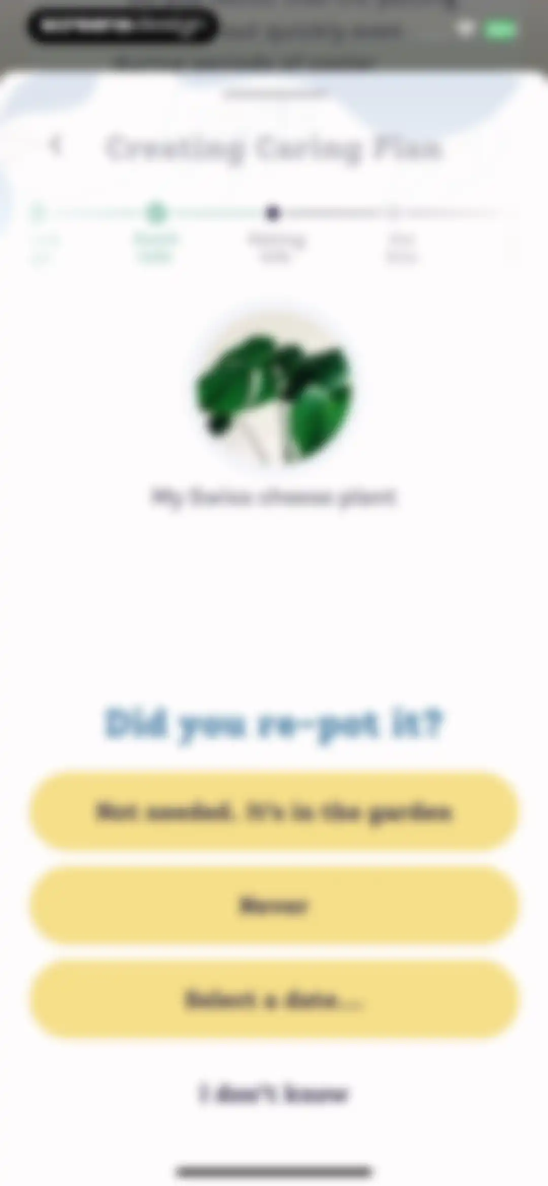 Plant Identifier, Care: Planty screen 62
