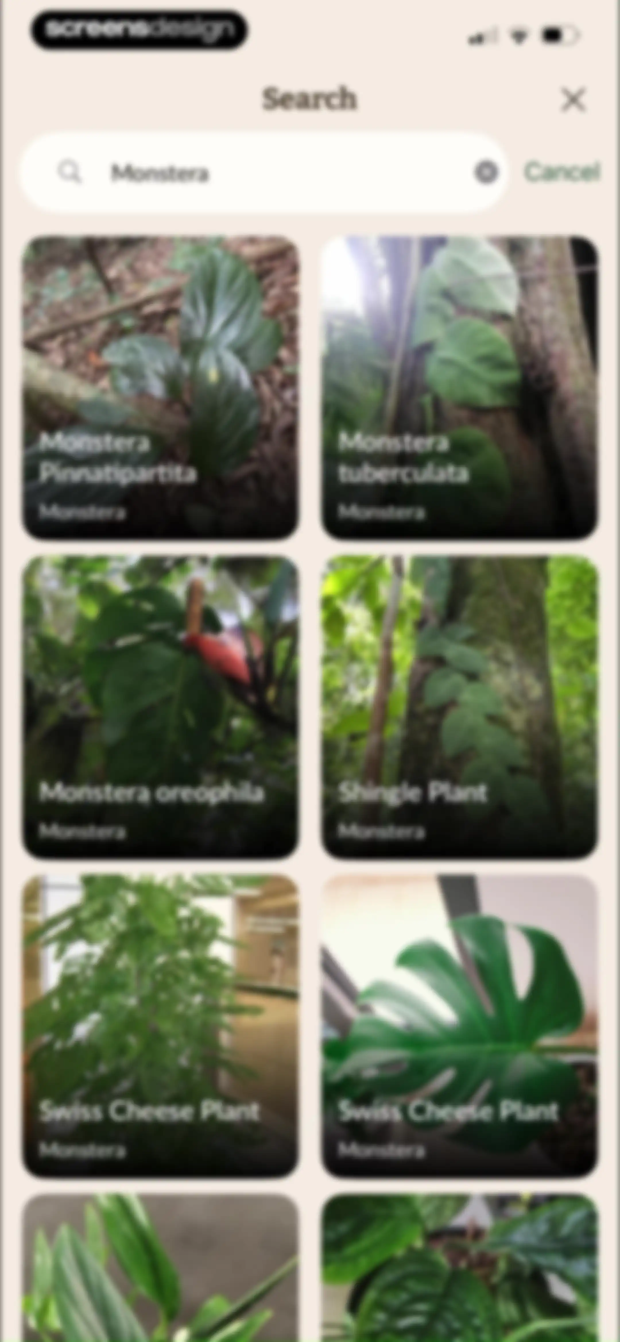 Plant Identification－Plantaria screen 38