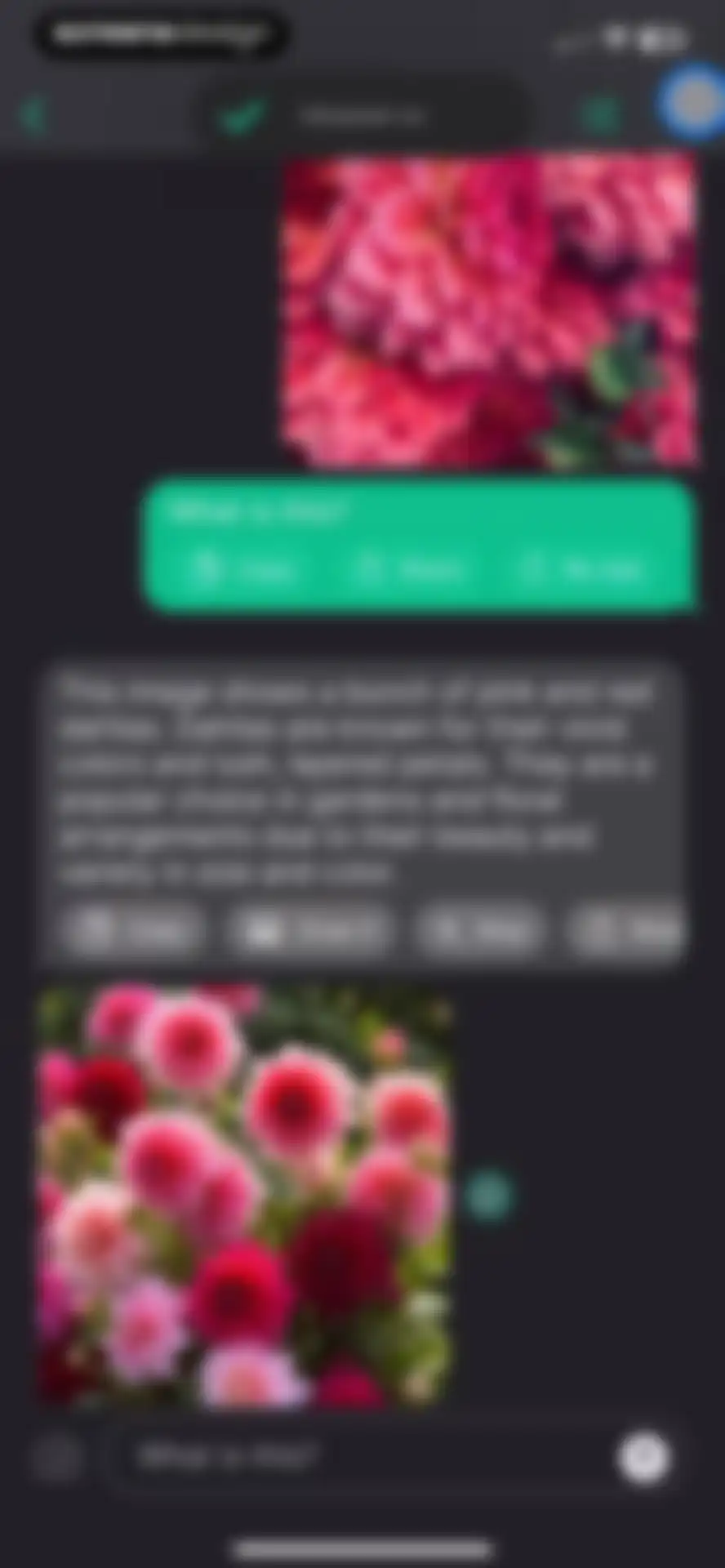 AI+ Chat & Al Video Generator screen 20