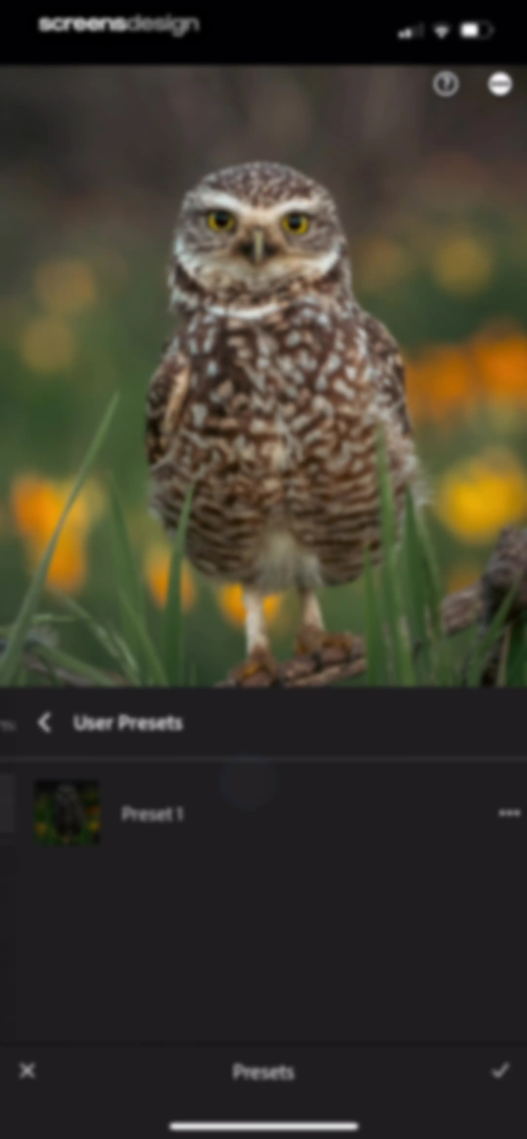 Lightroom: AI Photo Editor screen 168