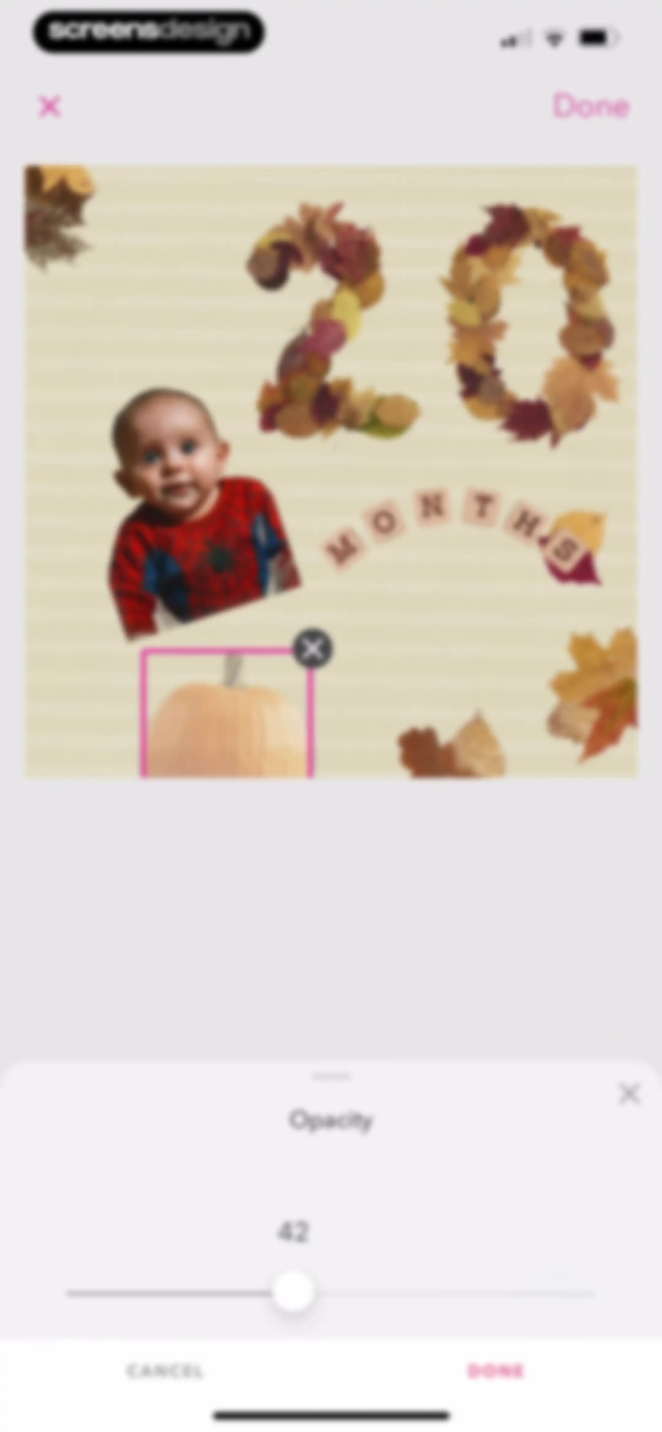 Precious - Baby Photo Art screen 70