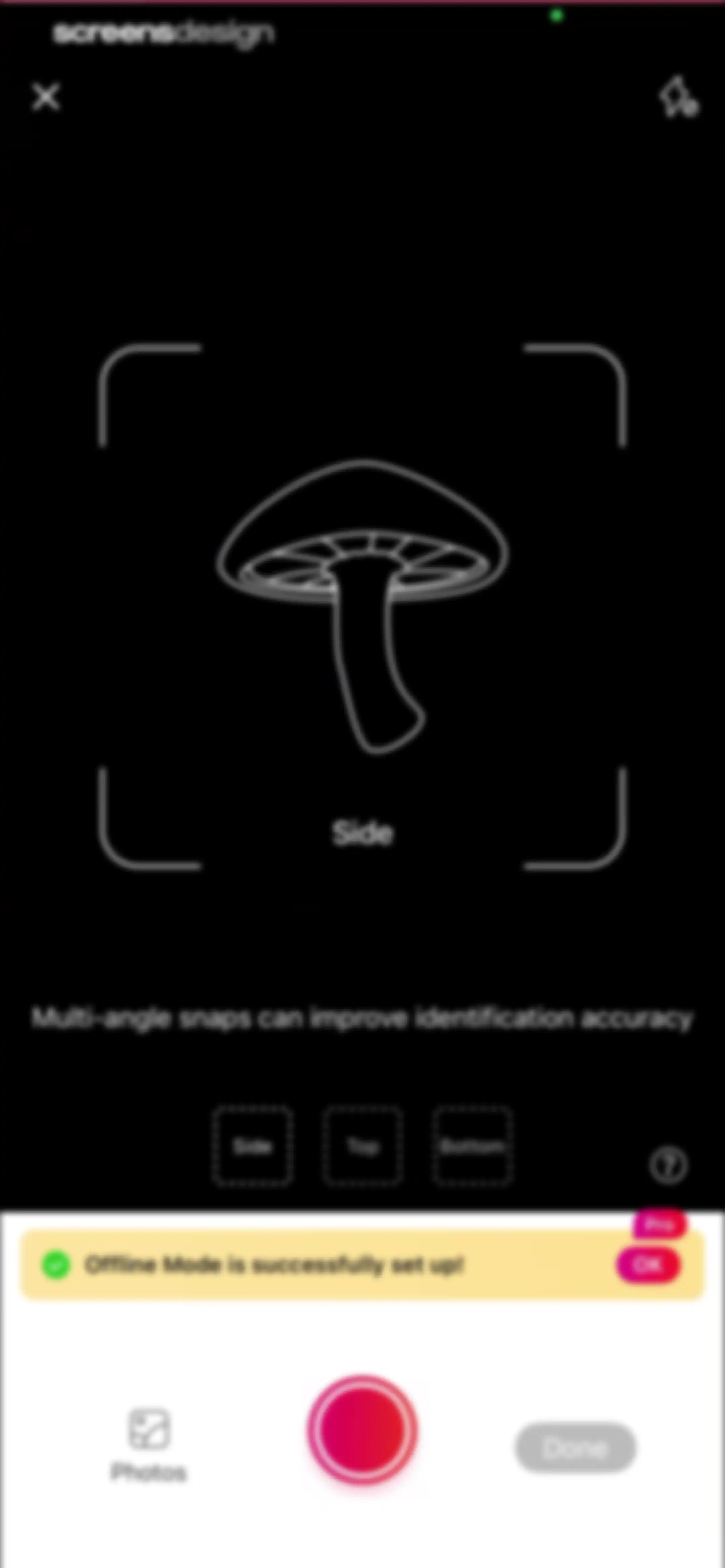 Picture Mushroom: Identifier screen 73