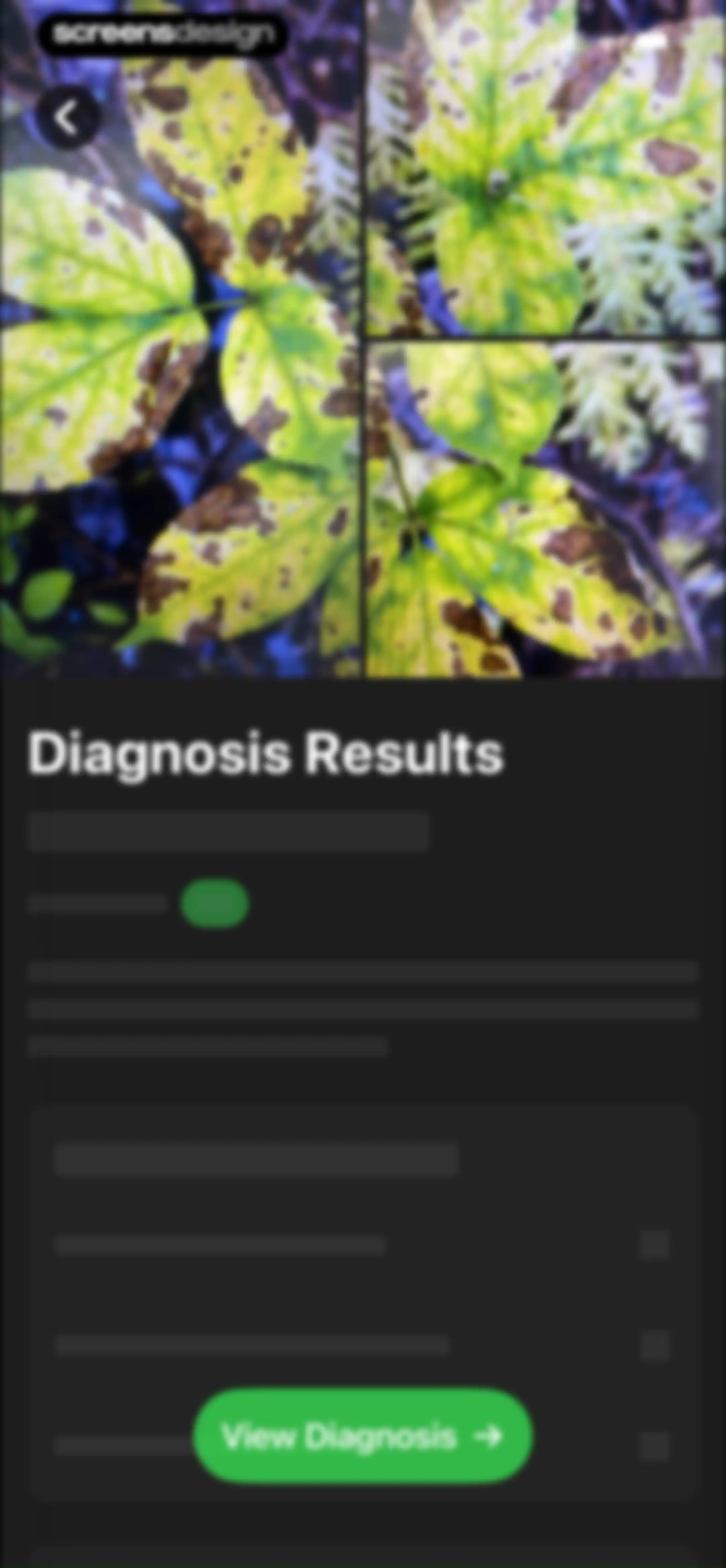 Free Plant Identifier screen 37