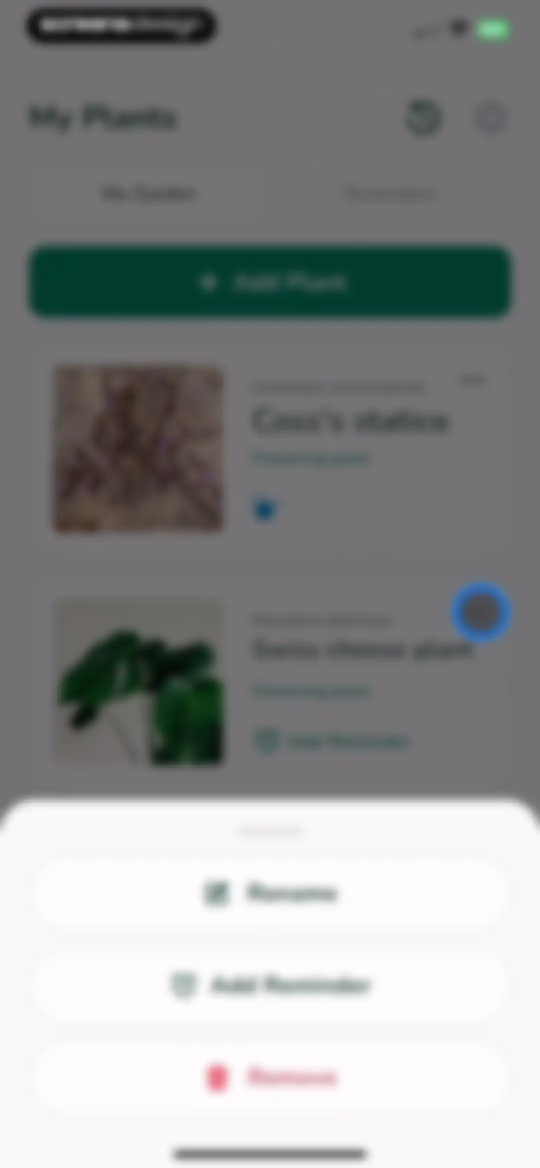 Plantify: AI Plant Identifier screen 48