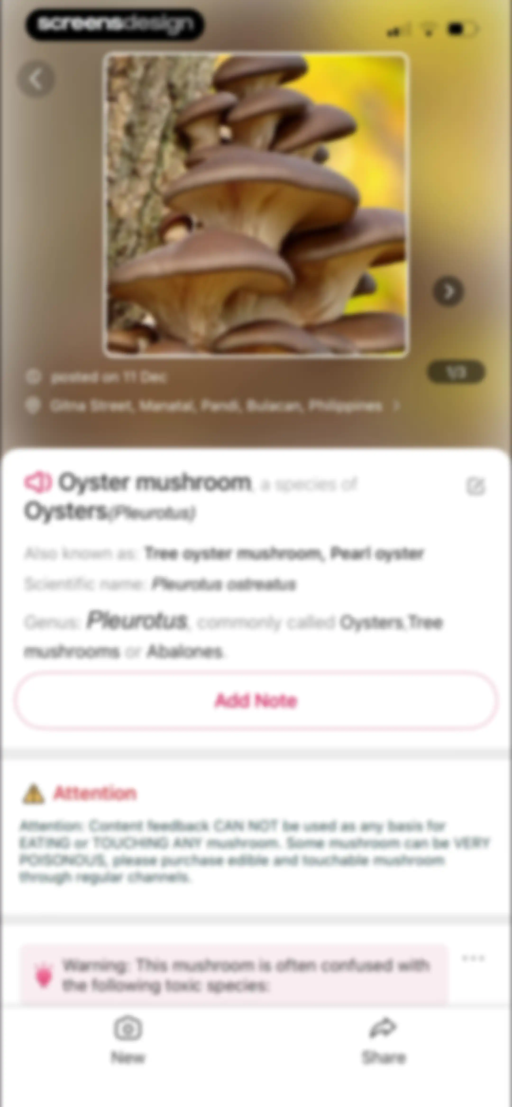 Picture Mushroom: Identifier screen 101