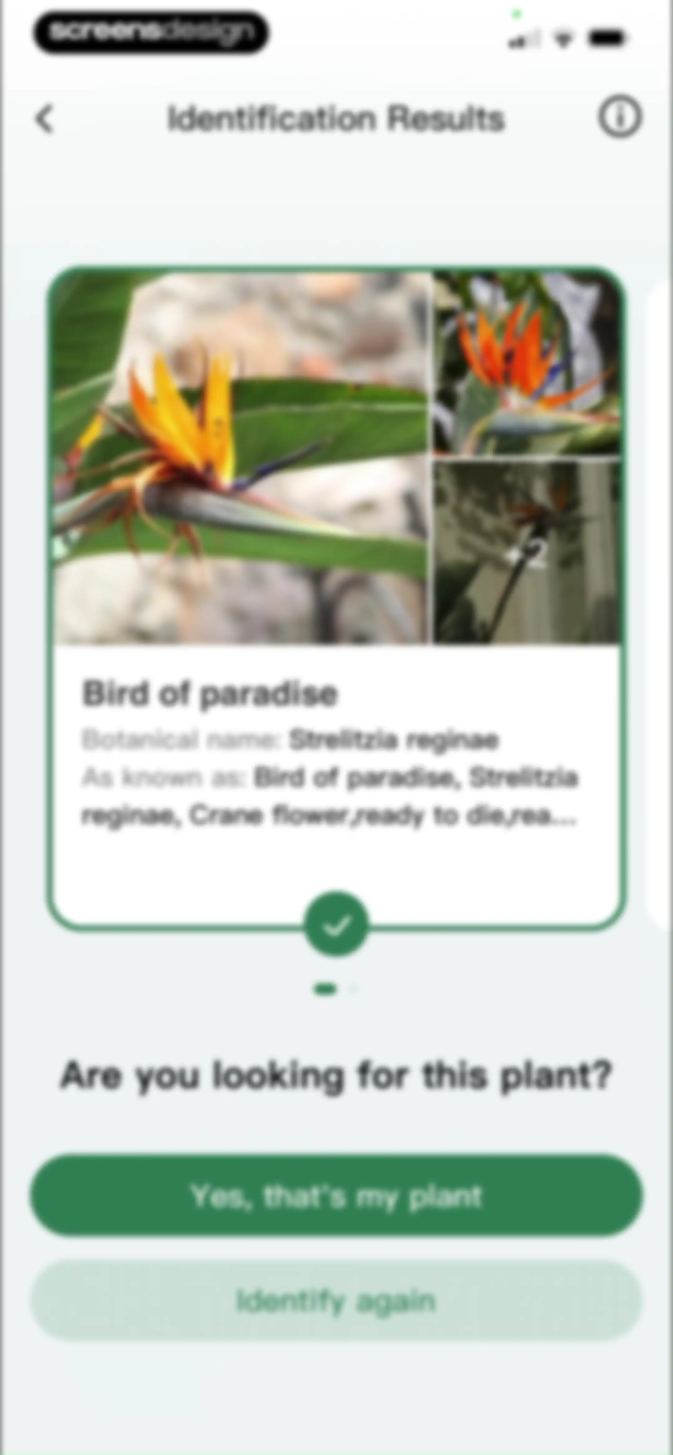 PlantLush: Plant ID & Care Pro screen 82