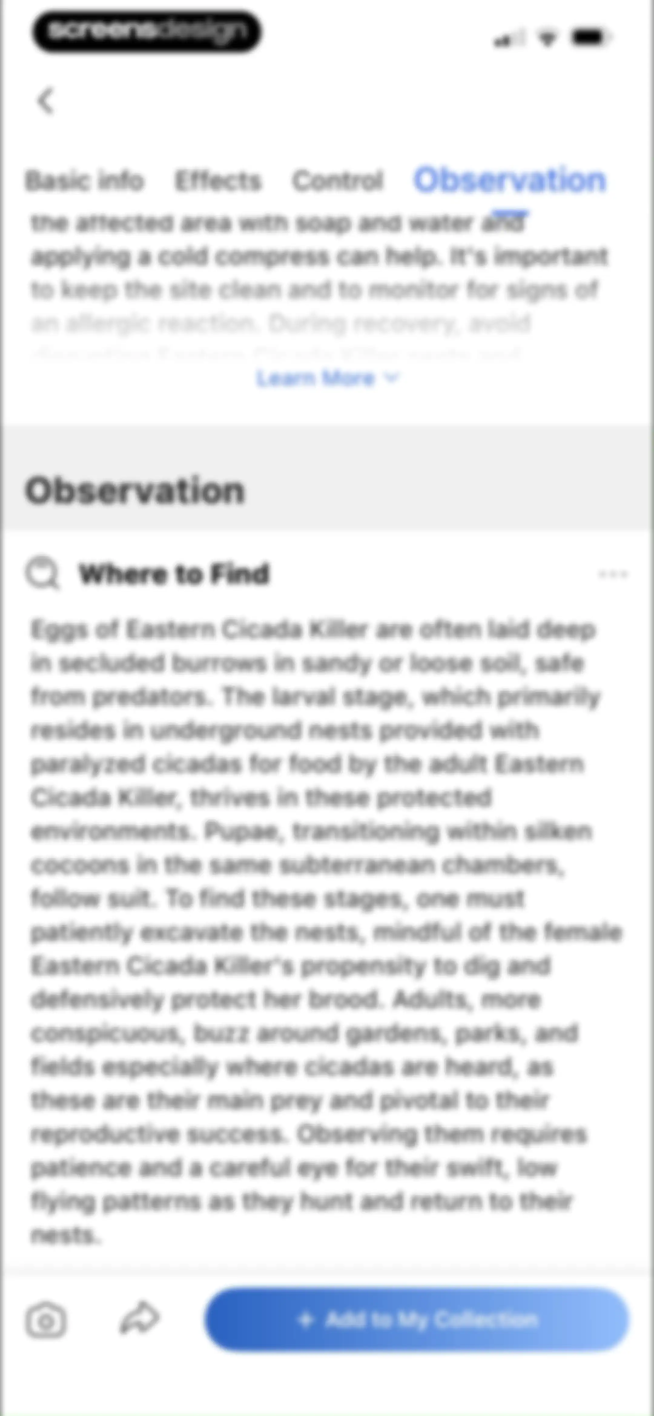 Picture Insect: Bug Identifier screen 31
