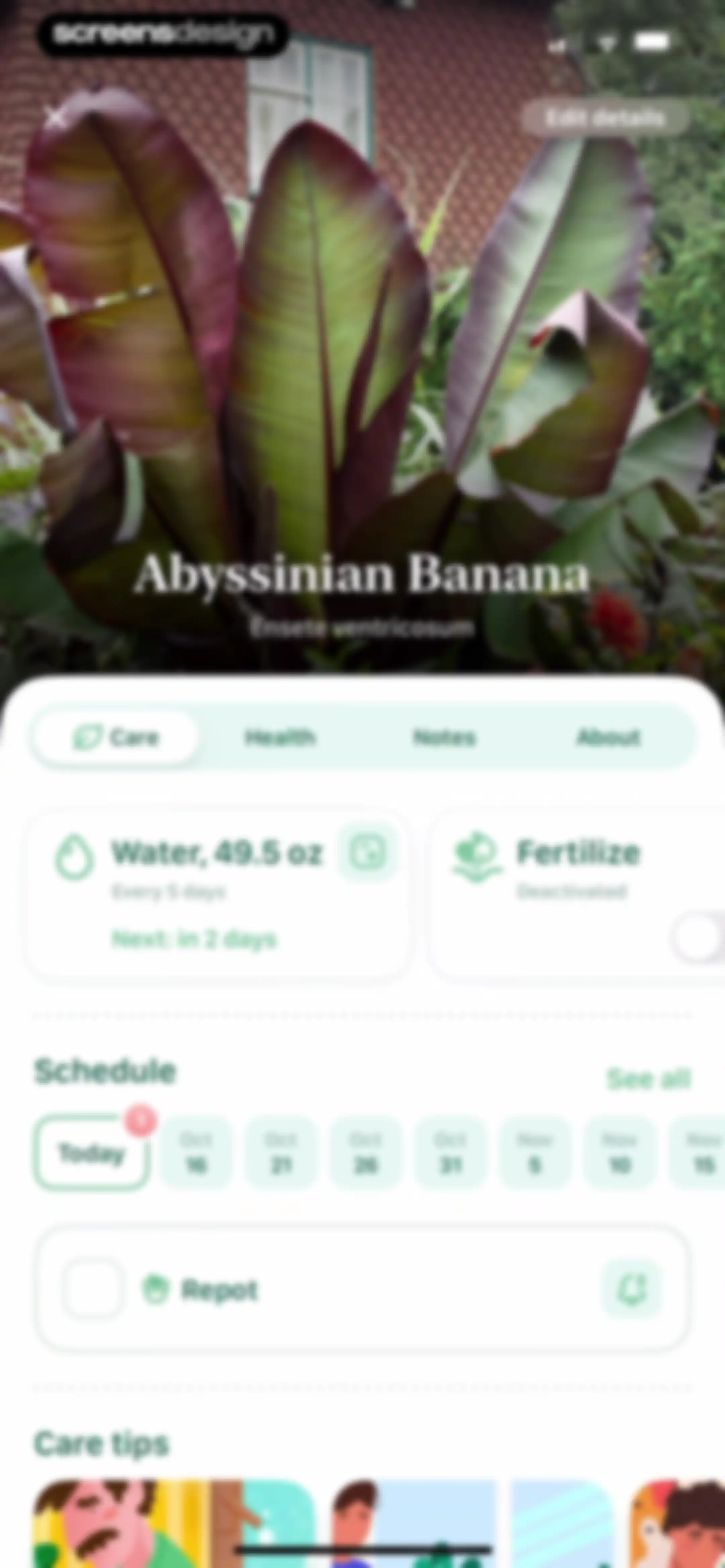 Blossom - Plant Care Guide screen 48