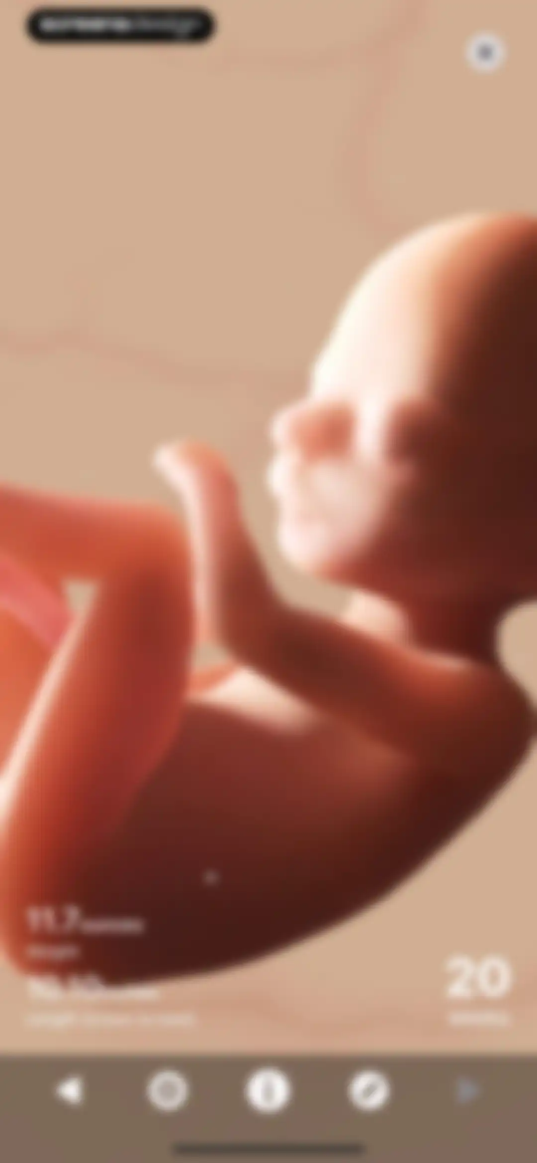 Pregnancy + | Tracker App screen 13