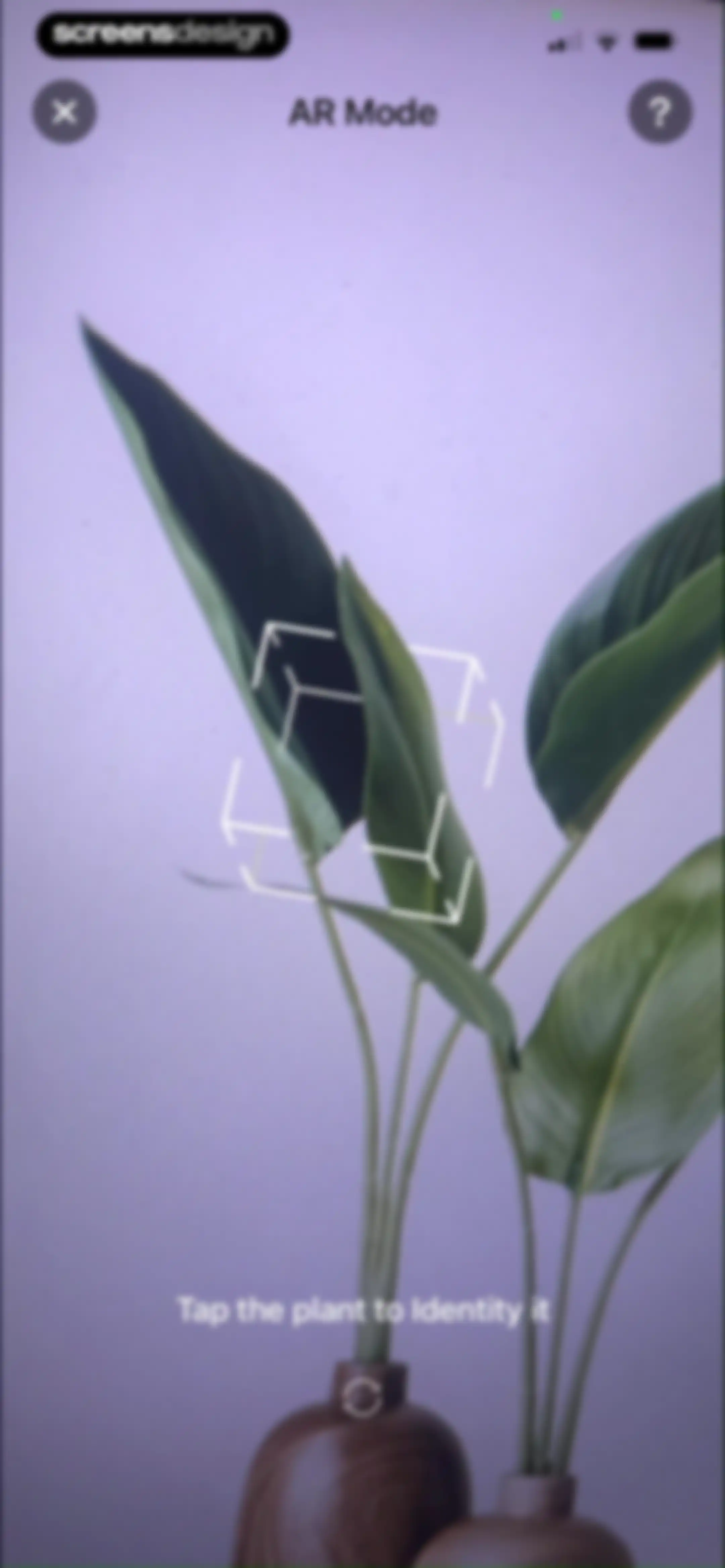 PlantLush: Plant ID & Care Pro screen 80