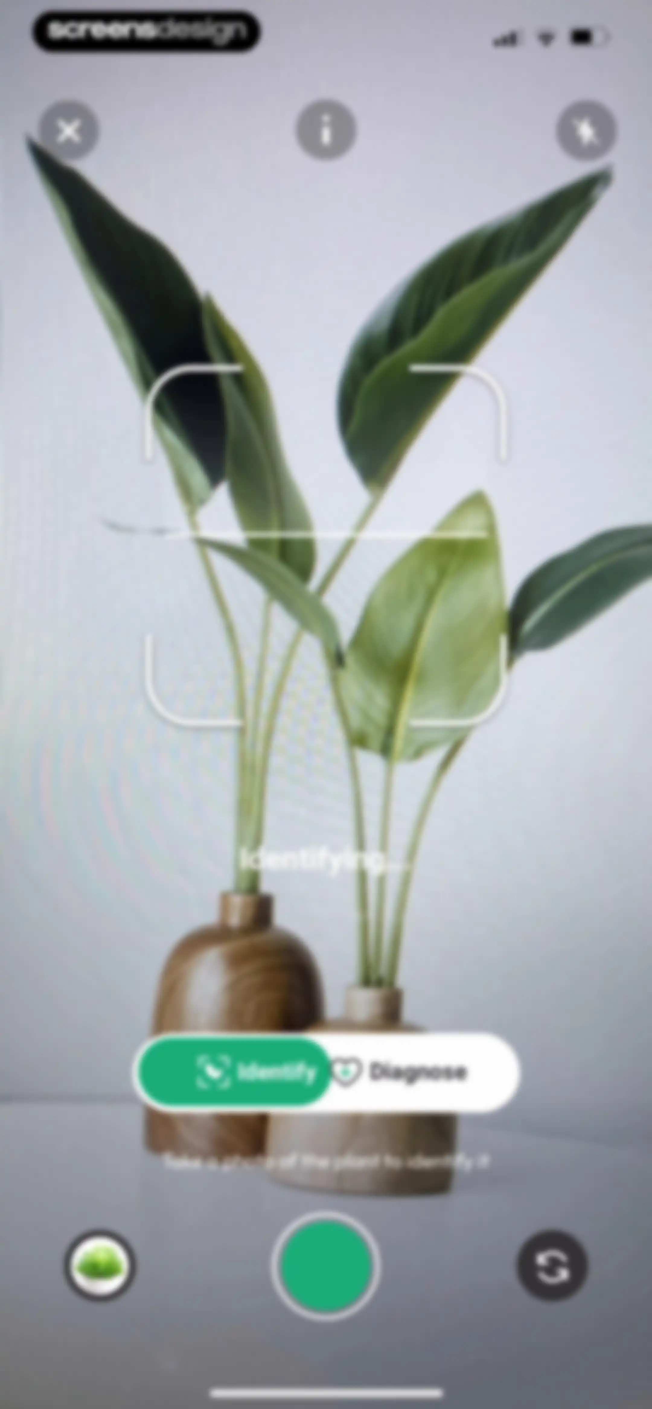 PlantDaily: AI Plant Care screen 61