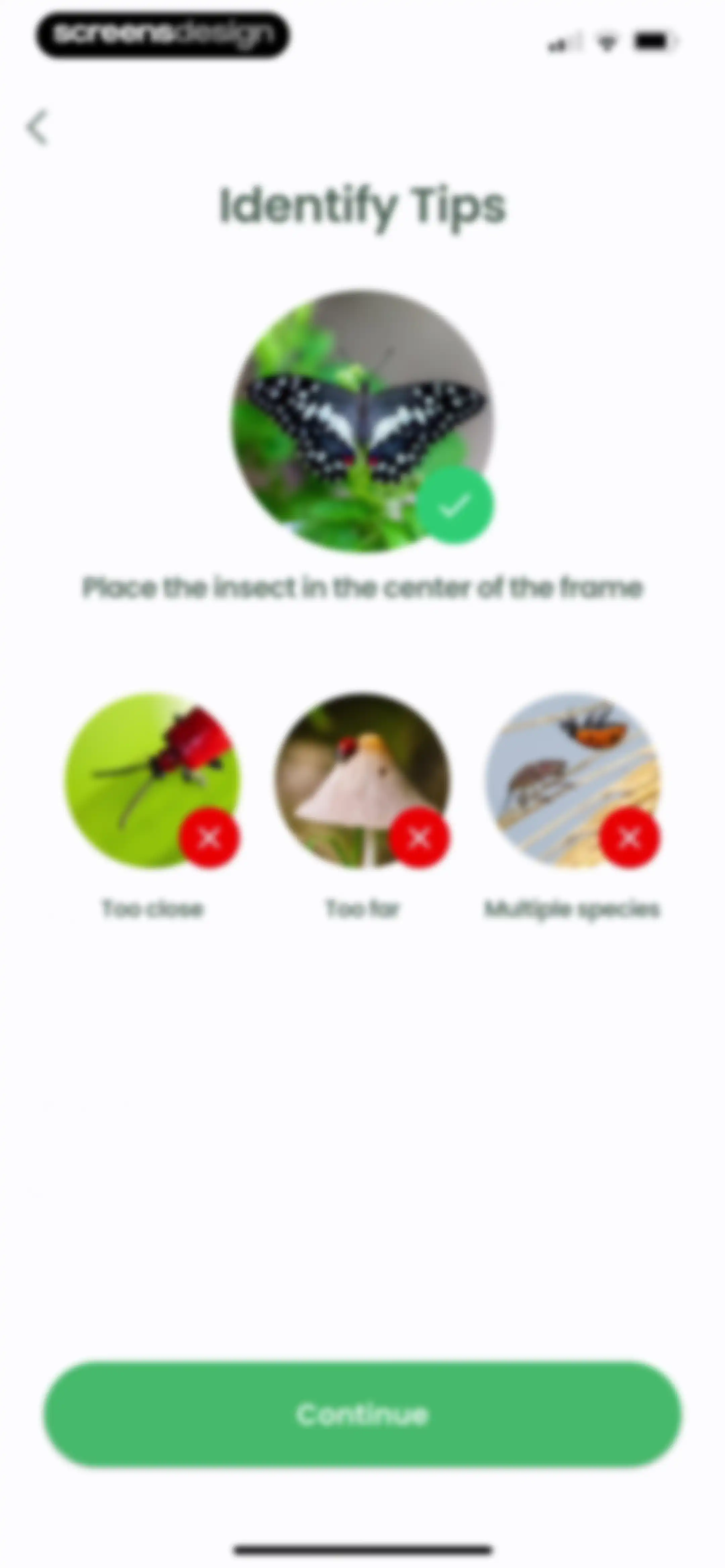 Plant Identifier: Plantiary screen 51