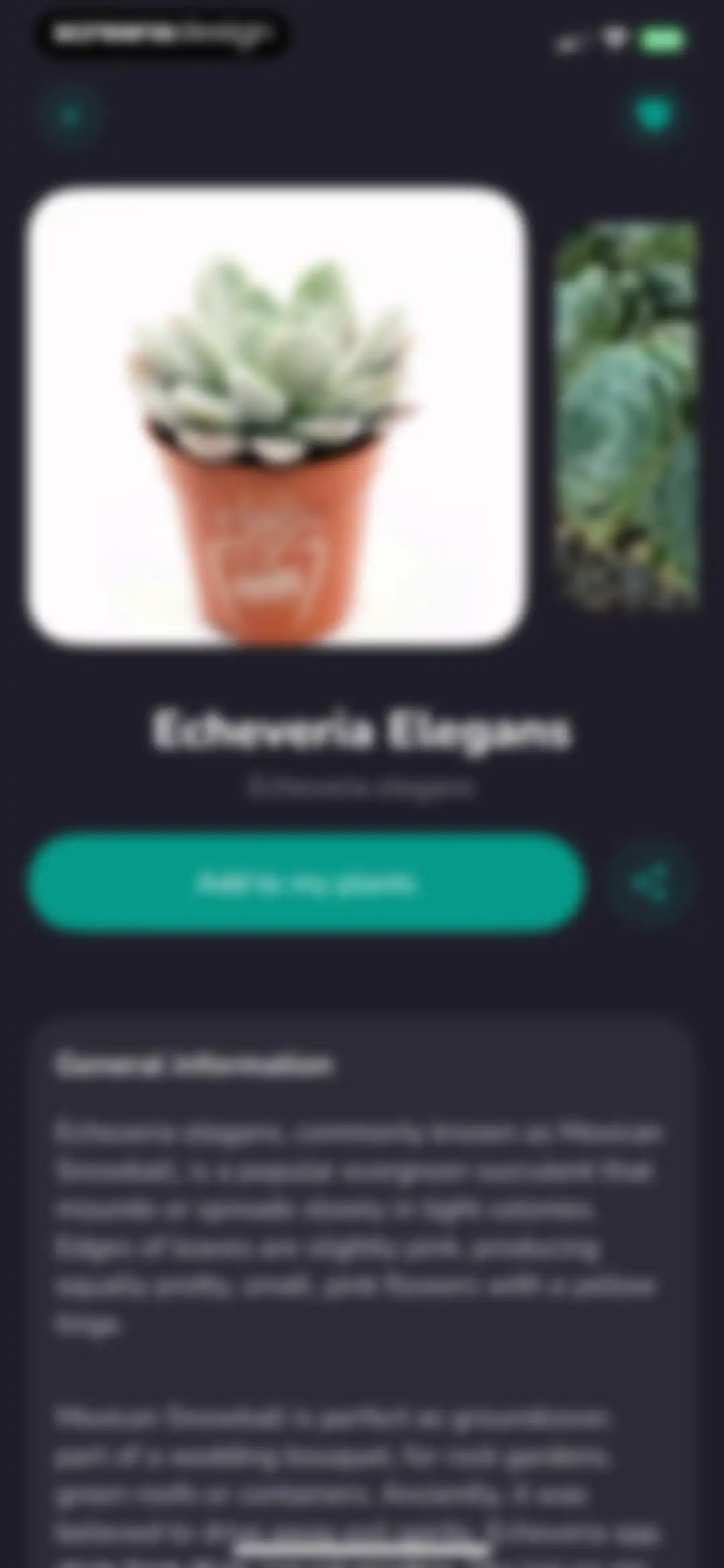 Plantfie・Plant Care Identifier screen 24