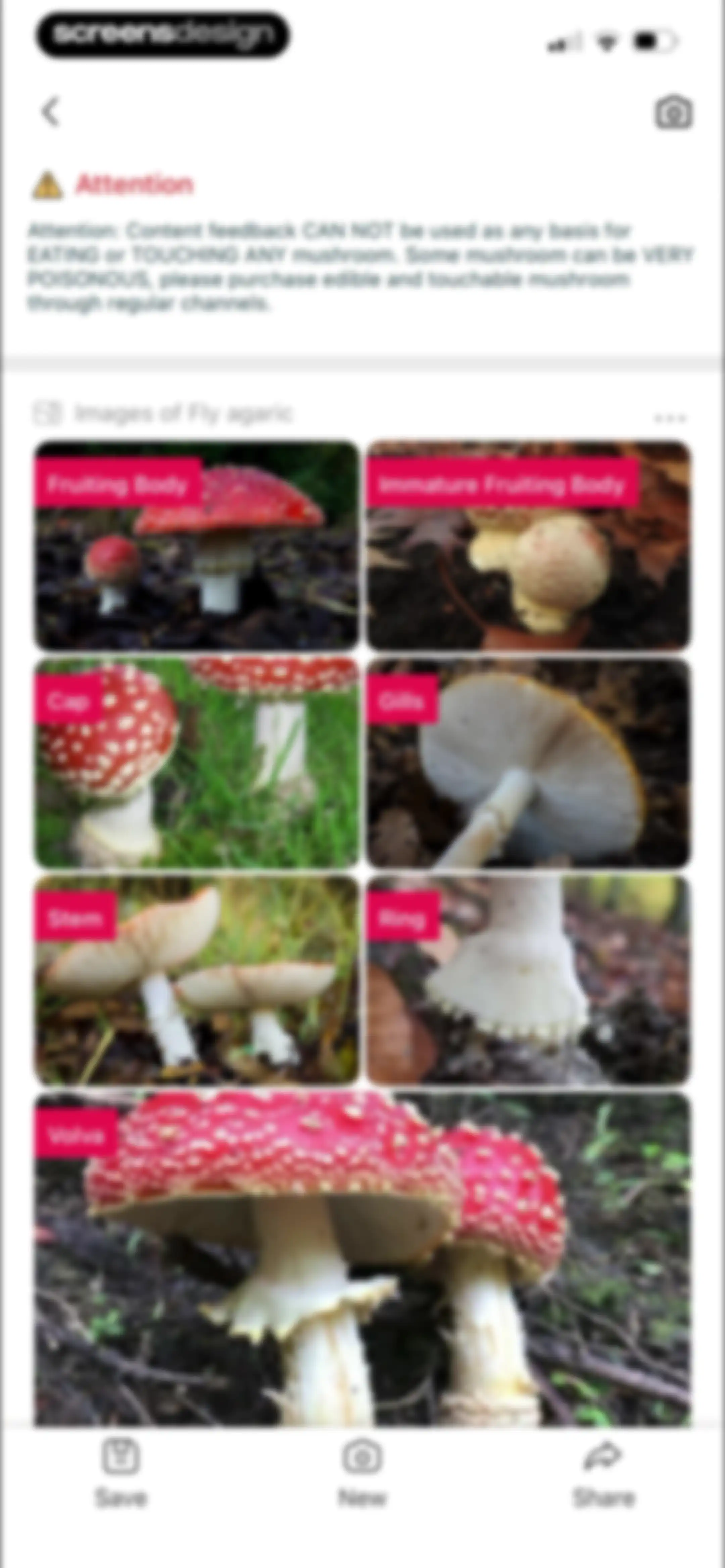 Picture Mushroom: Identifier screen 34