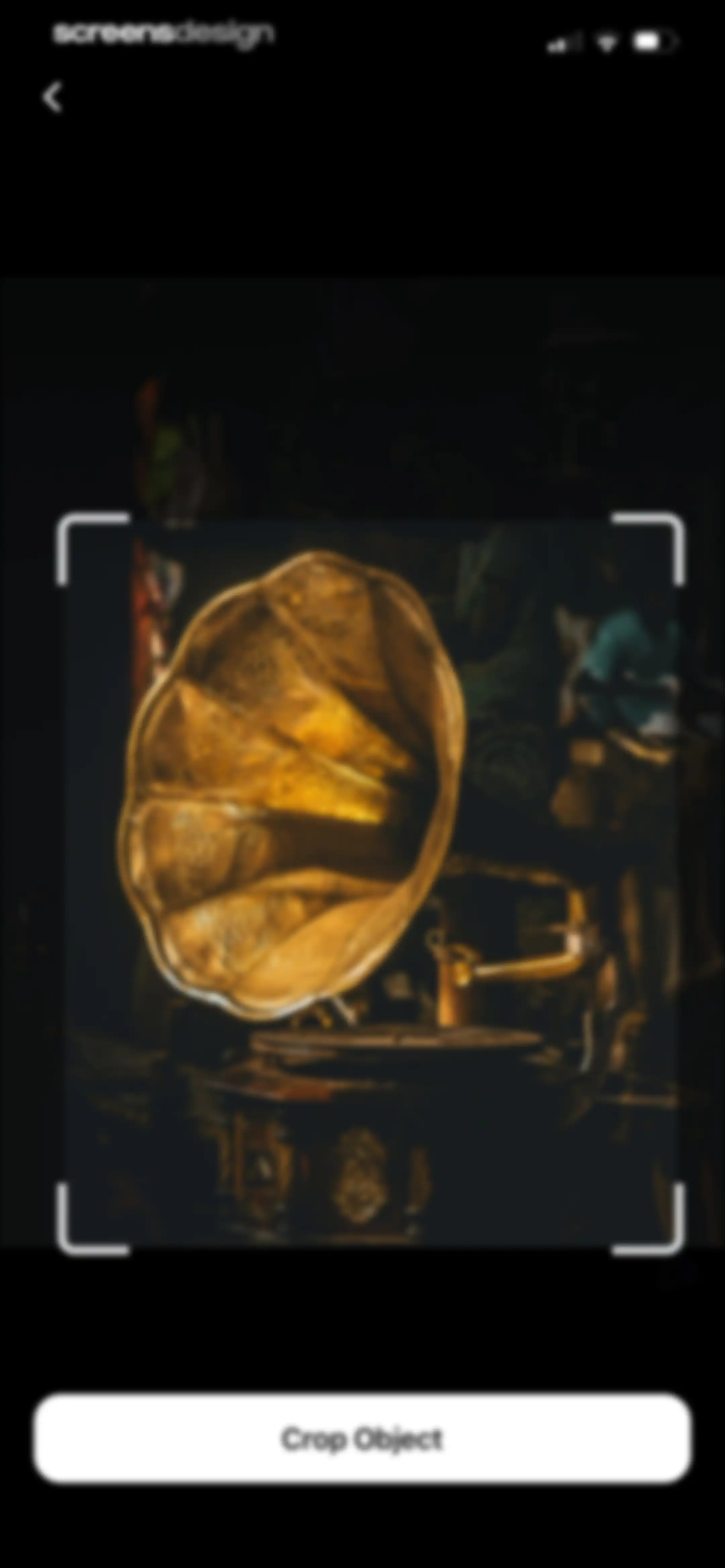 Lens AI: Identify Anything screen 43