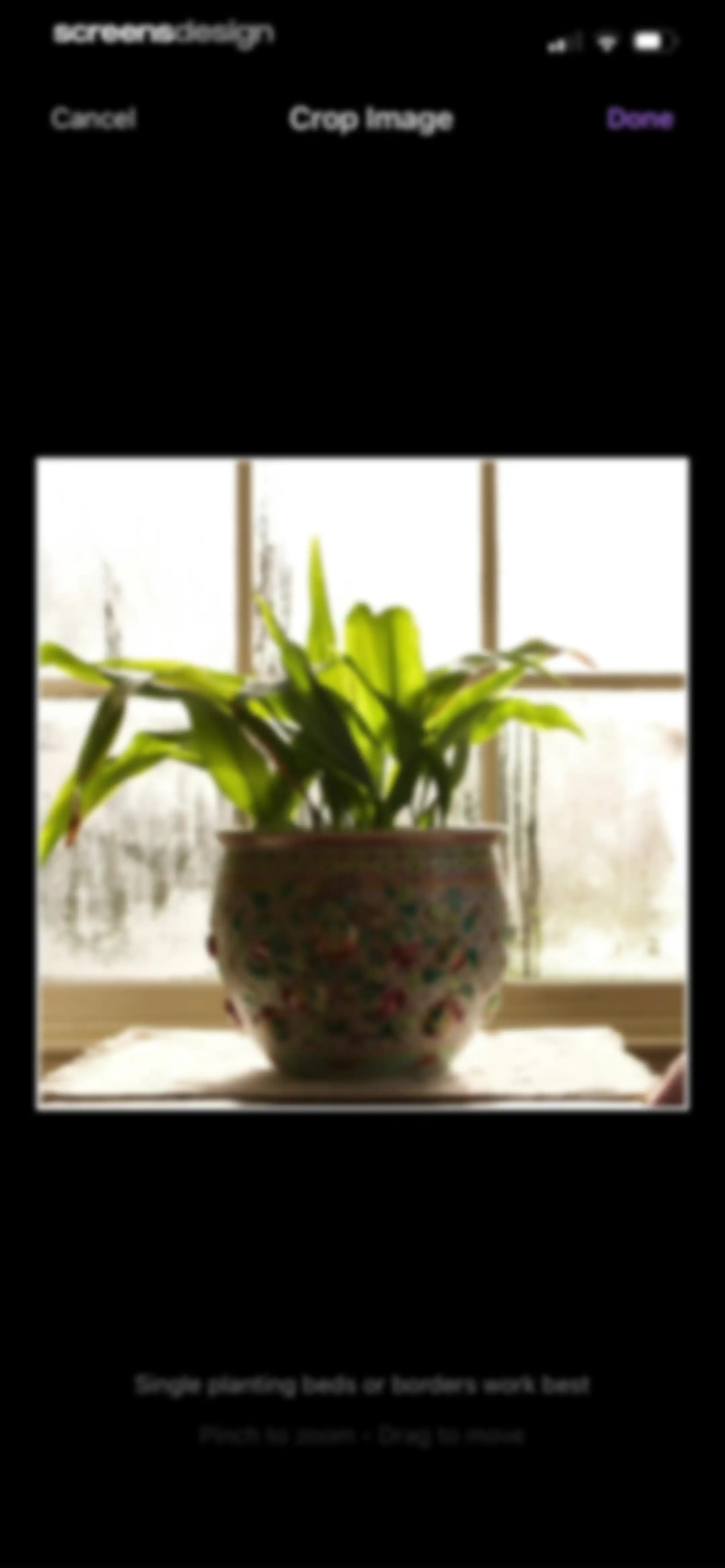 Sow: Garden & Landscape Design screen 48