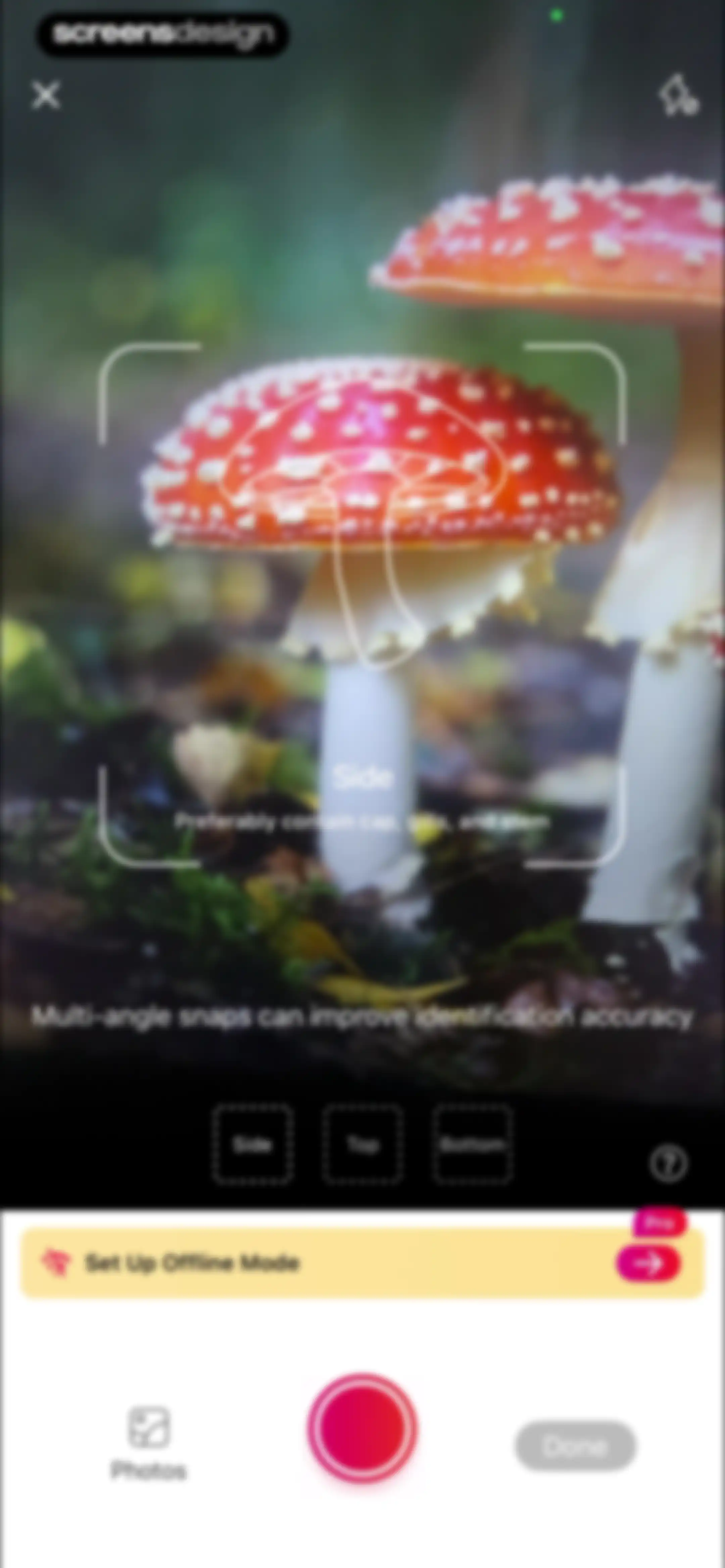 Picture Mushroom: Identifier screen 20
