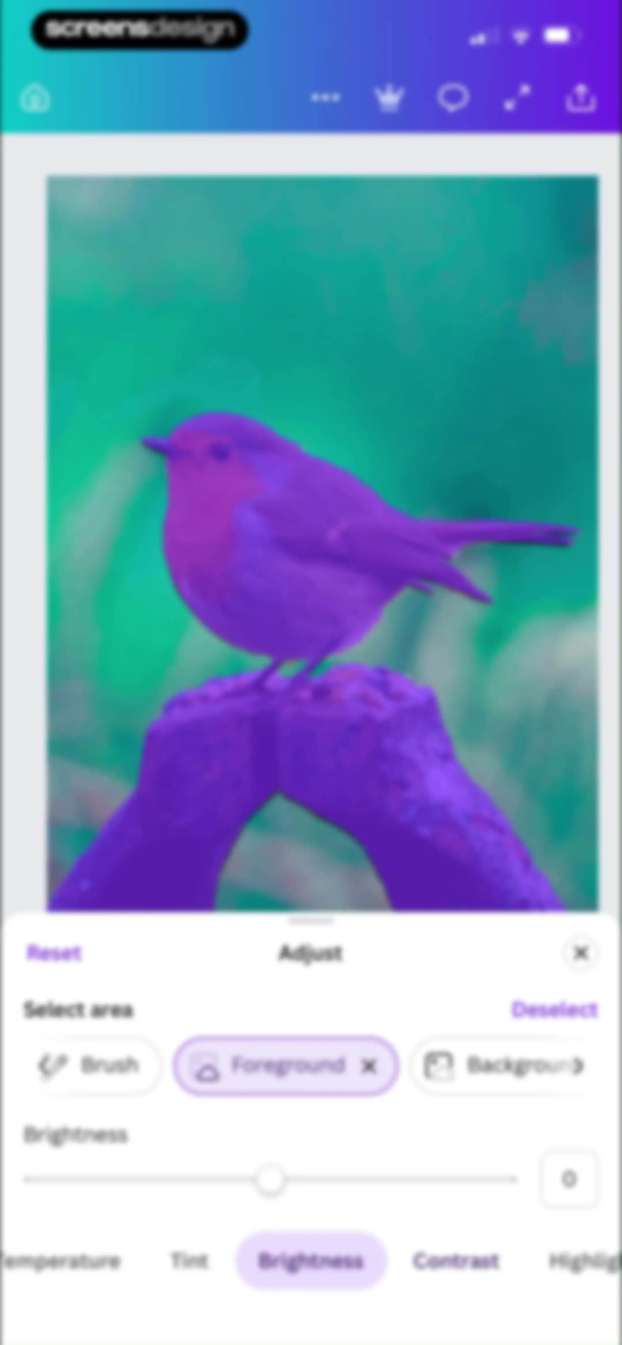 Canva: AI Video & Photo Editor screen 34