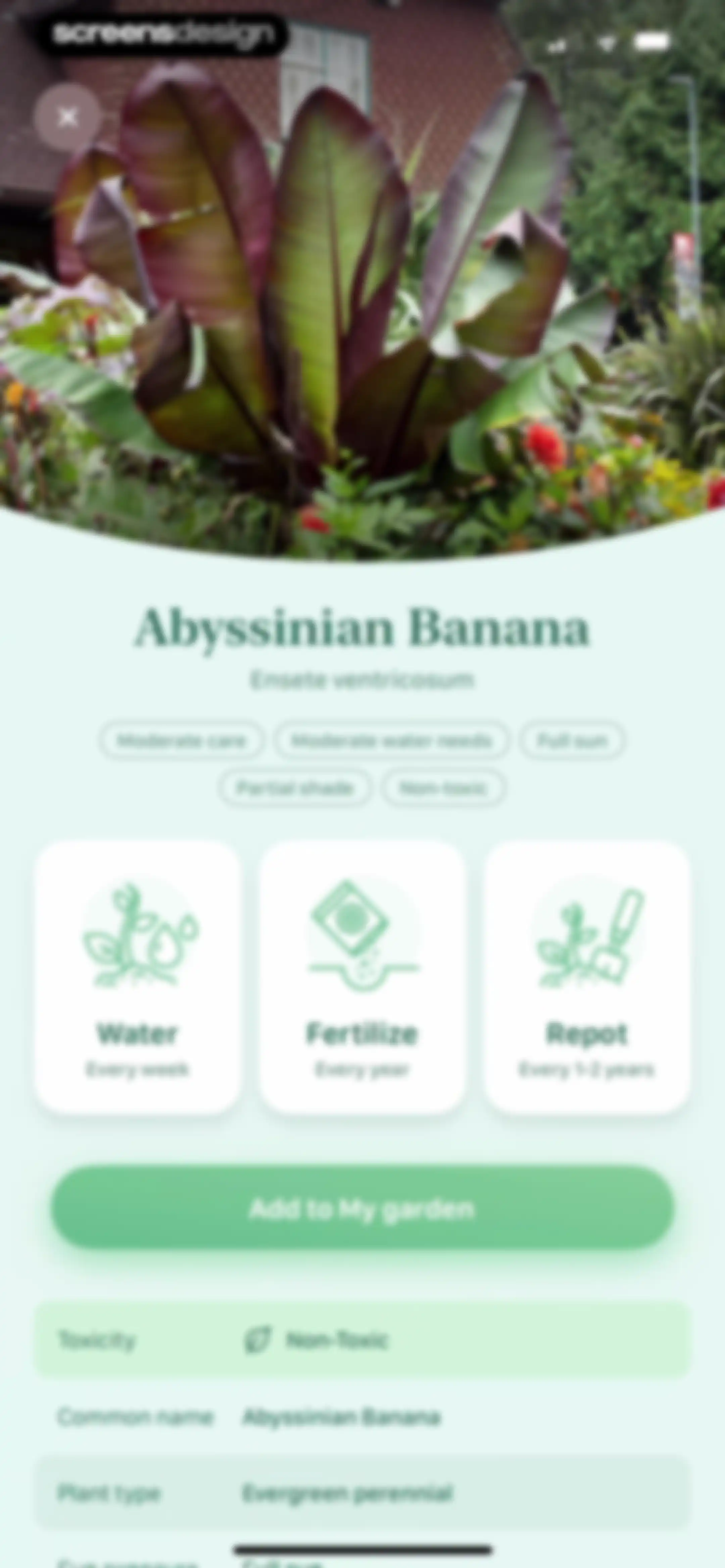 Blossom - Plant Care Guide screen 33