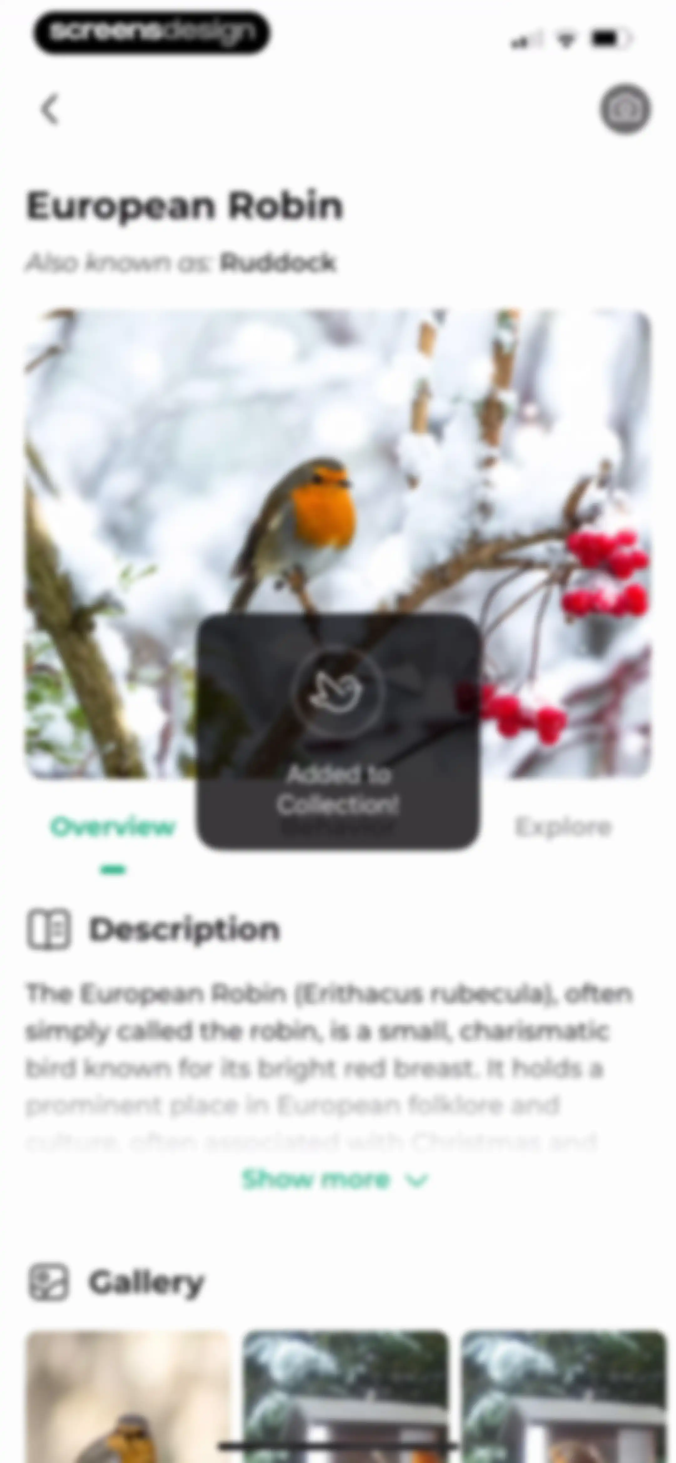 Bird Identifier: BirdScope screen 65