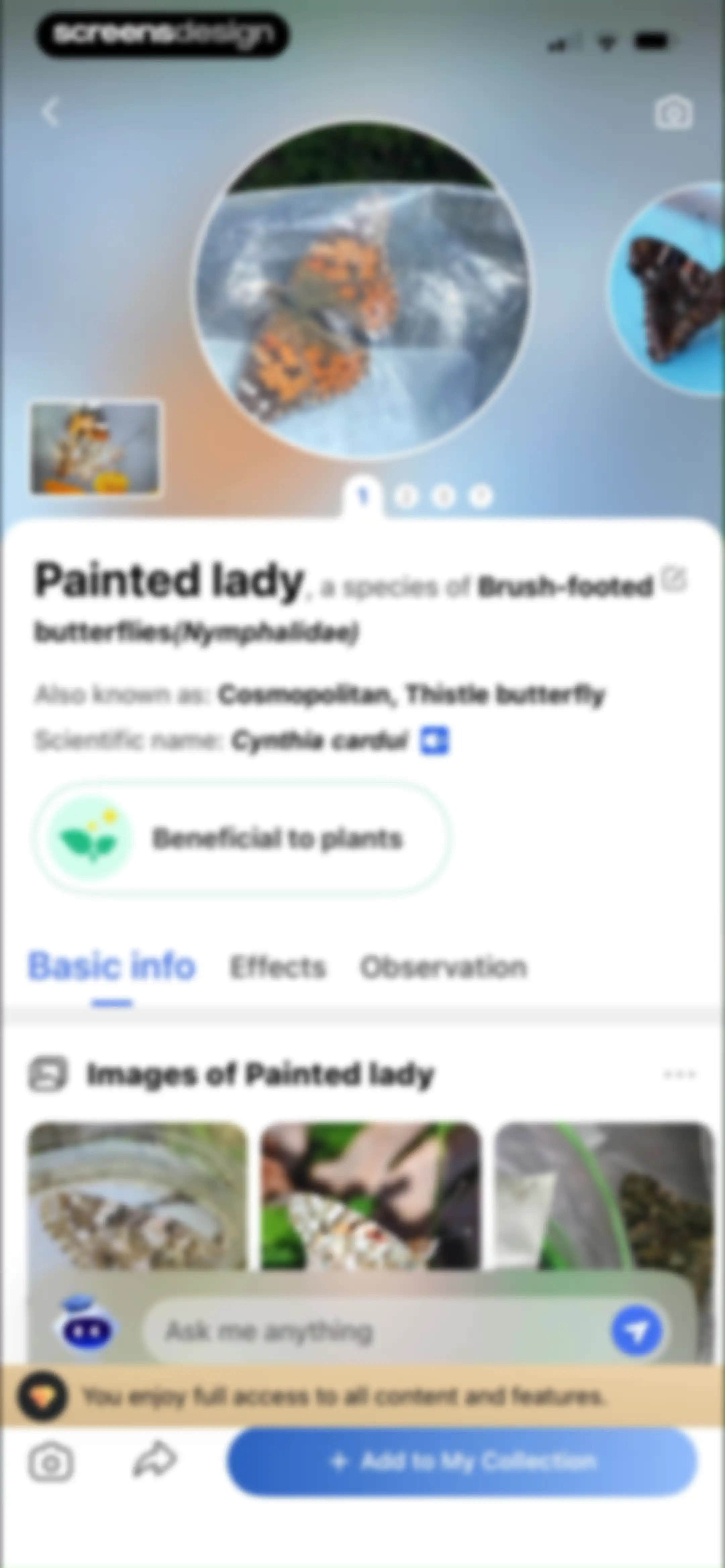 Picture Insect: Bug Identifier screen 51