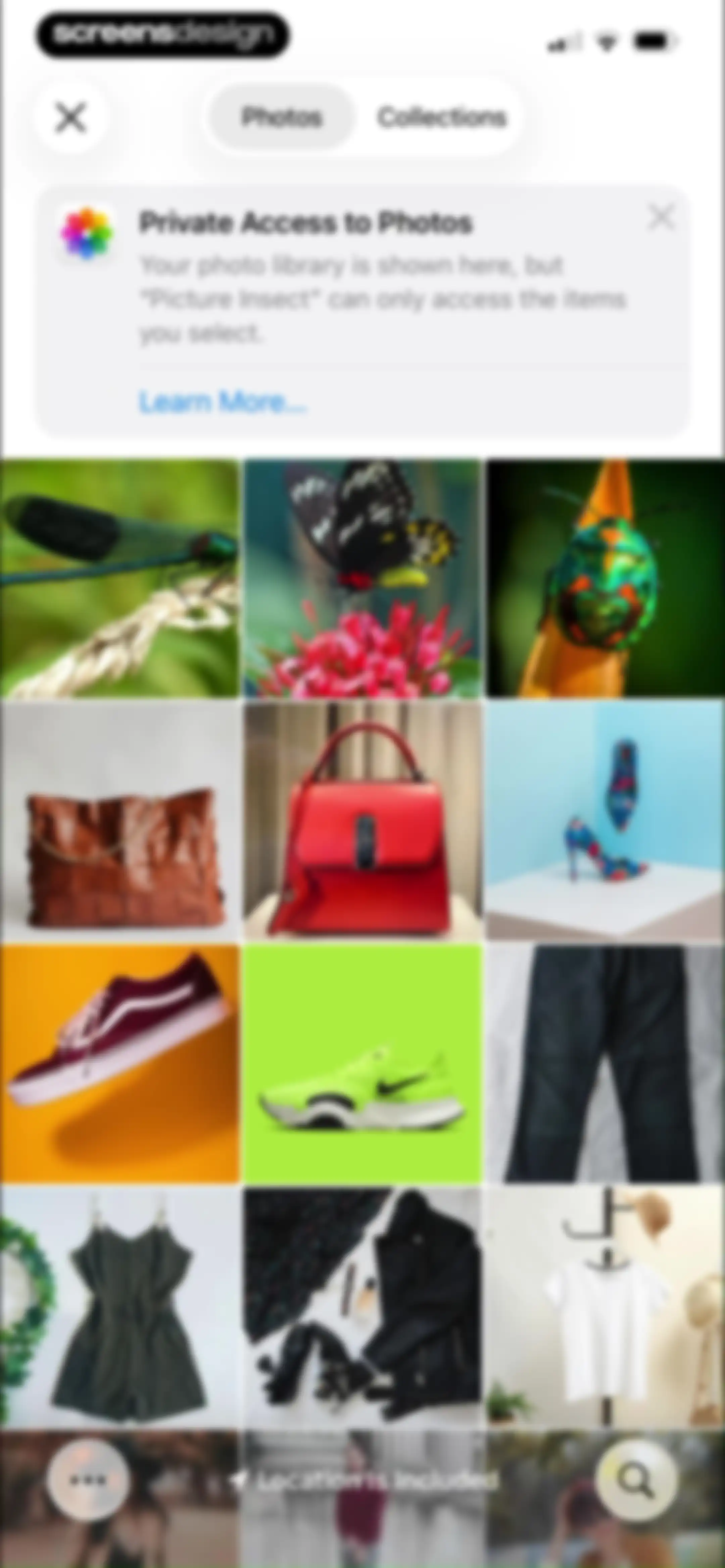 Picture Insect: Bug Identifier screen 91