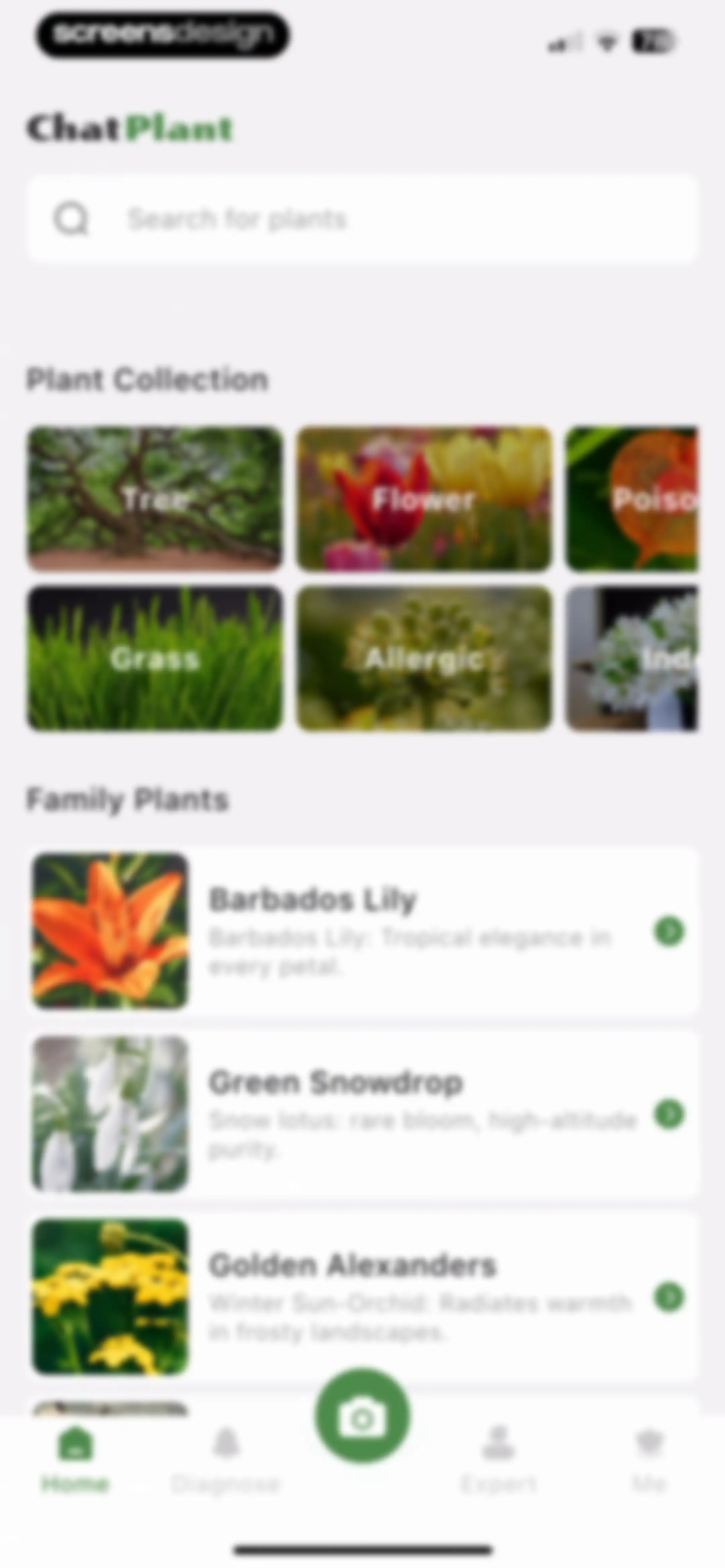 Plant Identifier: ChatPlant AI screen 52
