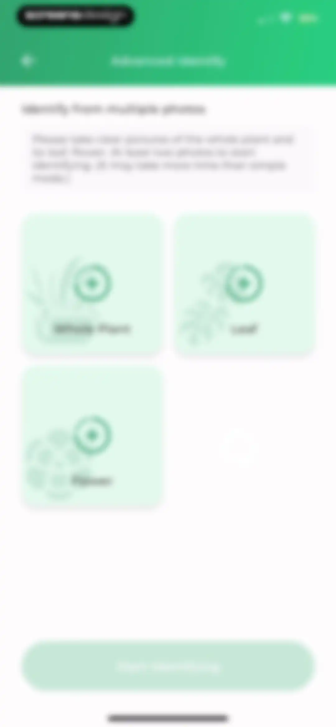 Plant Identifier: LeafSnap screen 24