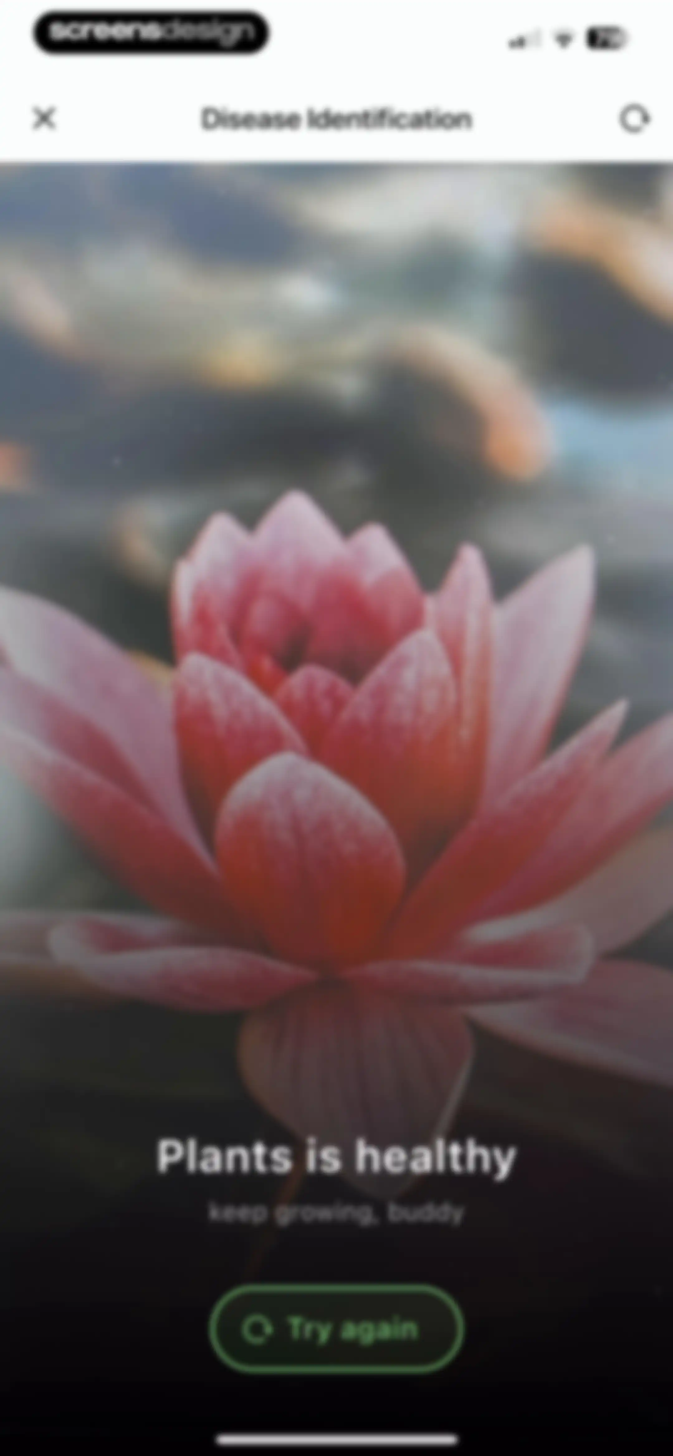 Plant Identifier: ChatPlant AI screen 29