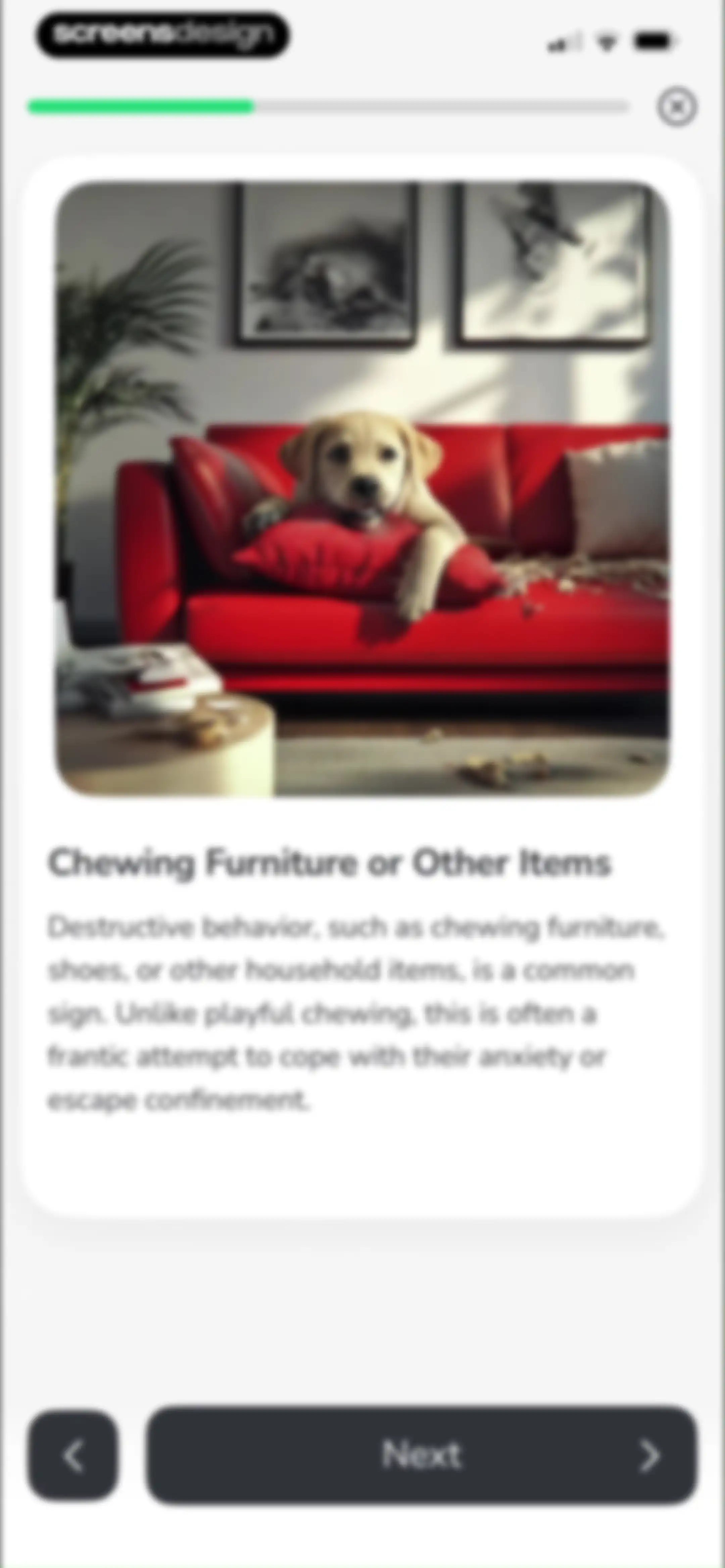 PawChamp - Dog Training & Care screen 31