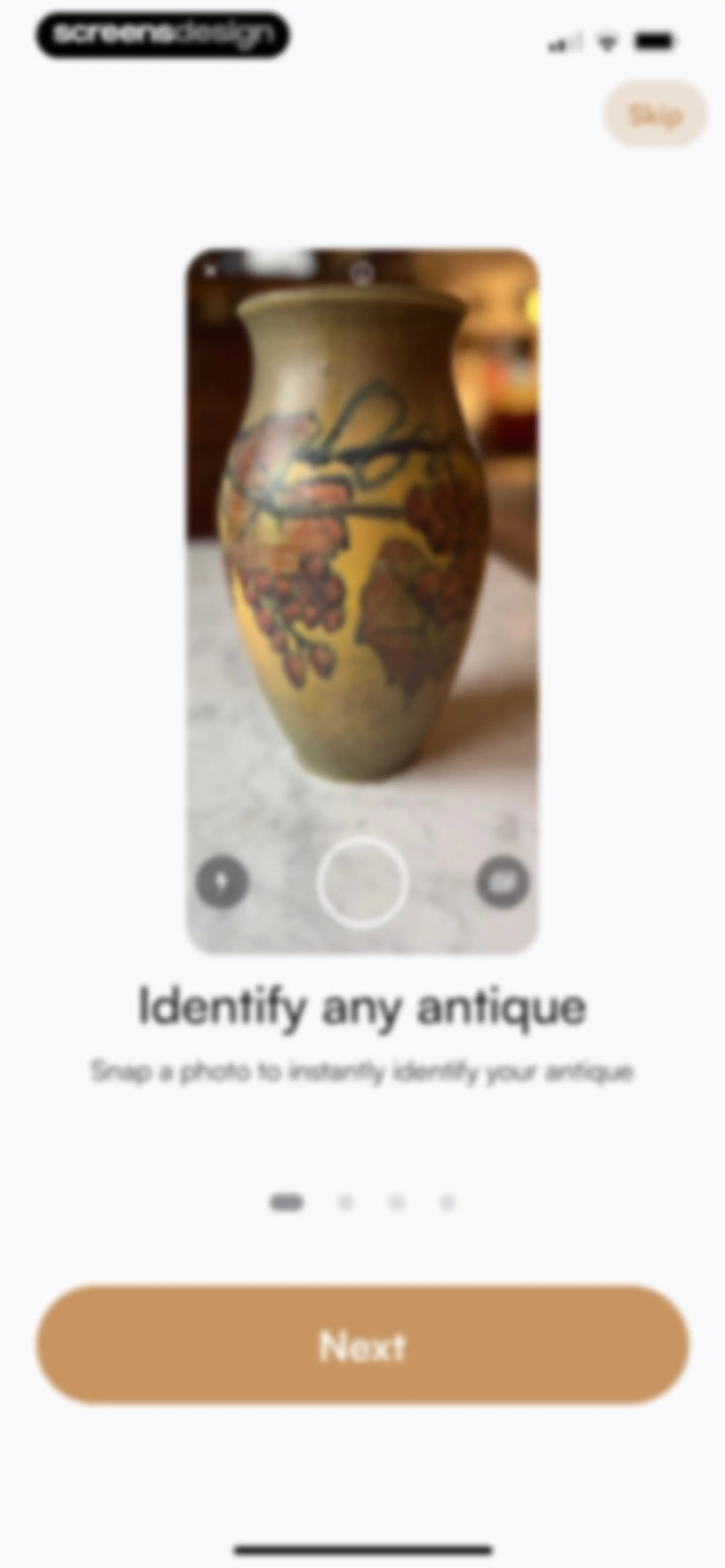 Curio - Antique Identifier screen 4