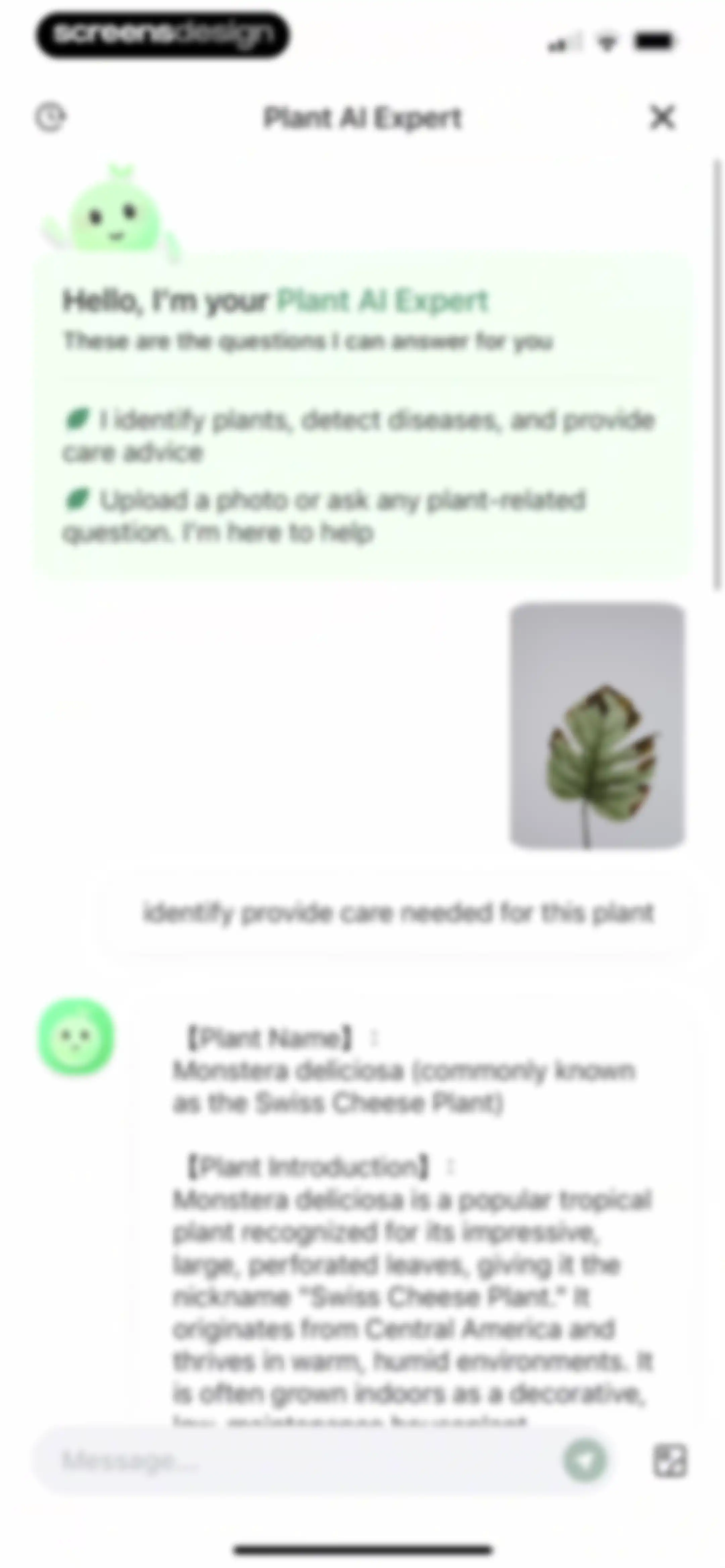 Verde Finder : identify plants screen 19