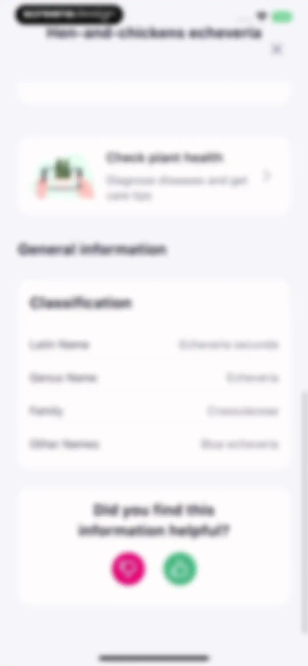 AI Plant Identifier・Care－Lily screen 31