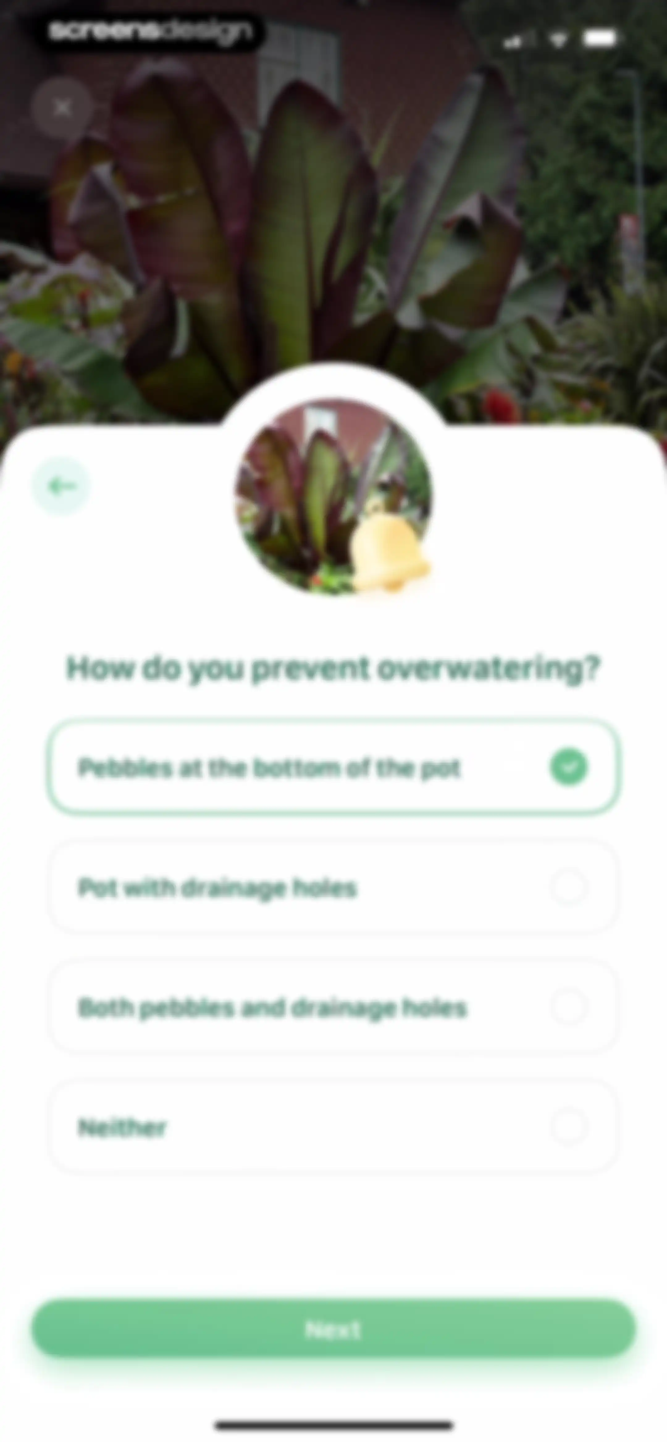 Blossom - Plant Care Guide screen 39