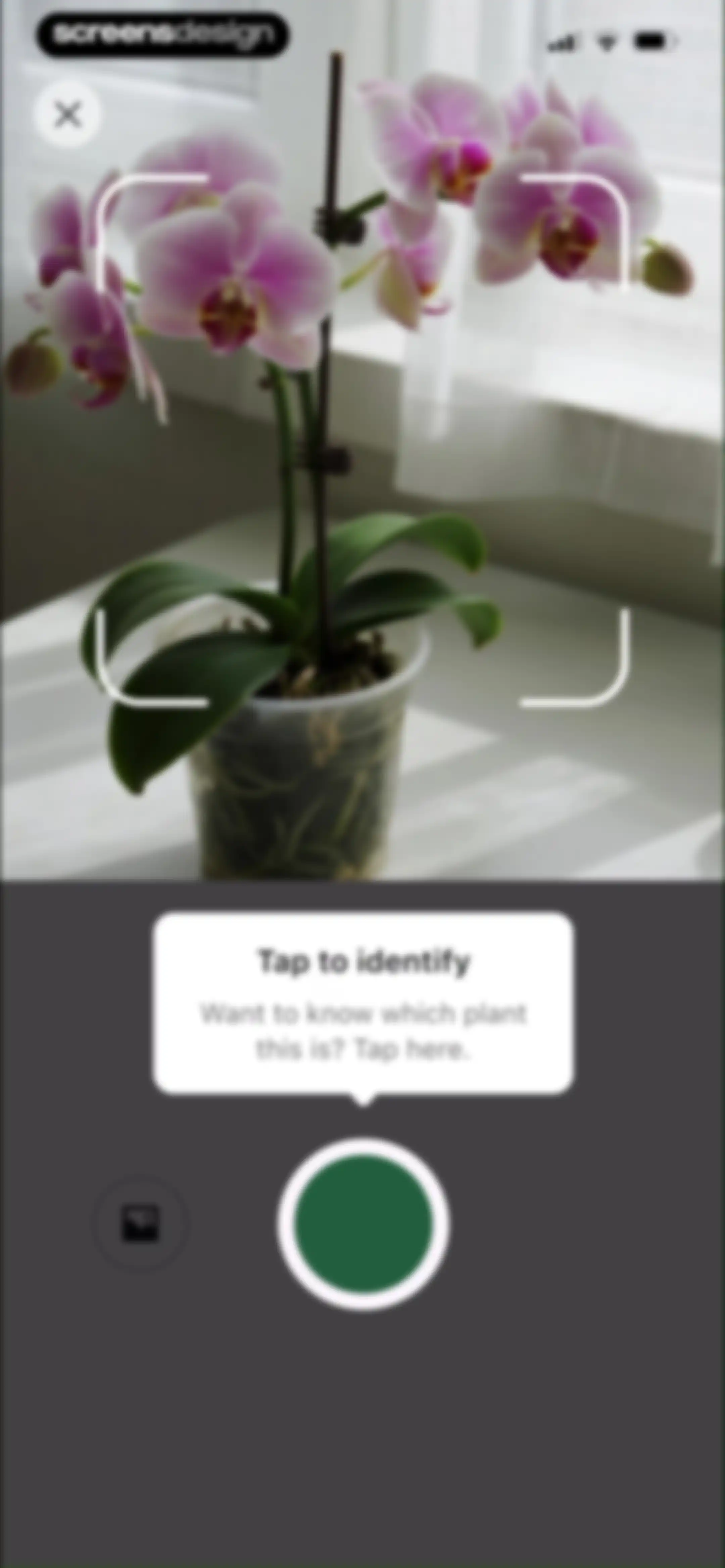 PlantAID:identifier&care guide screen 15
