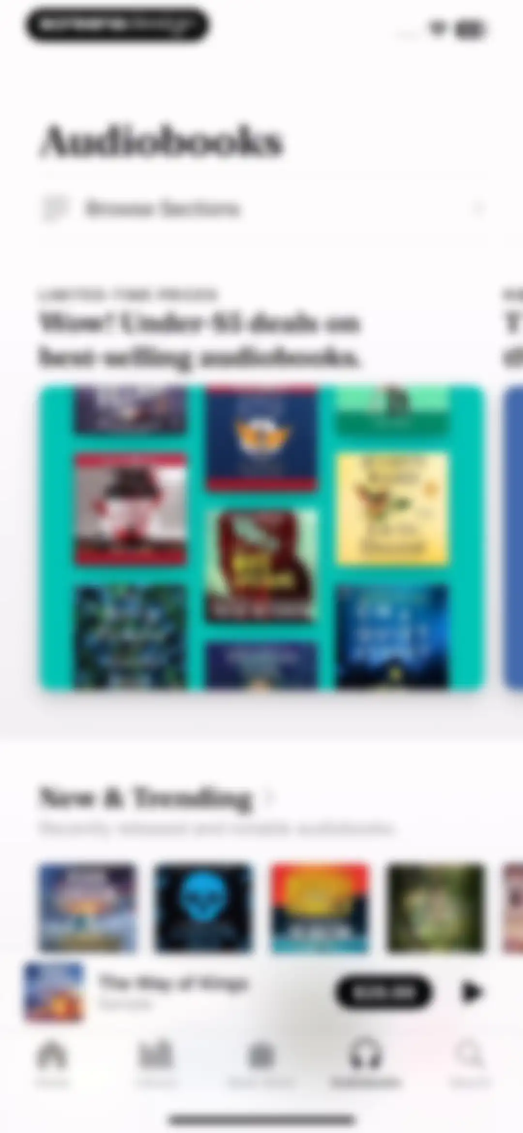 Apple Books screen 155