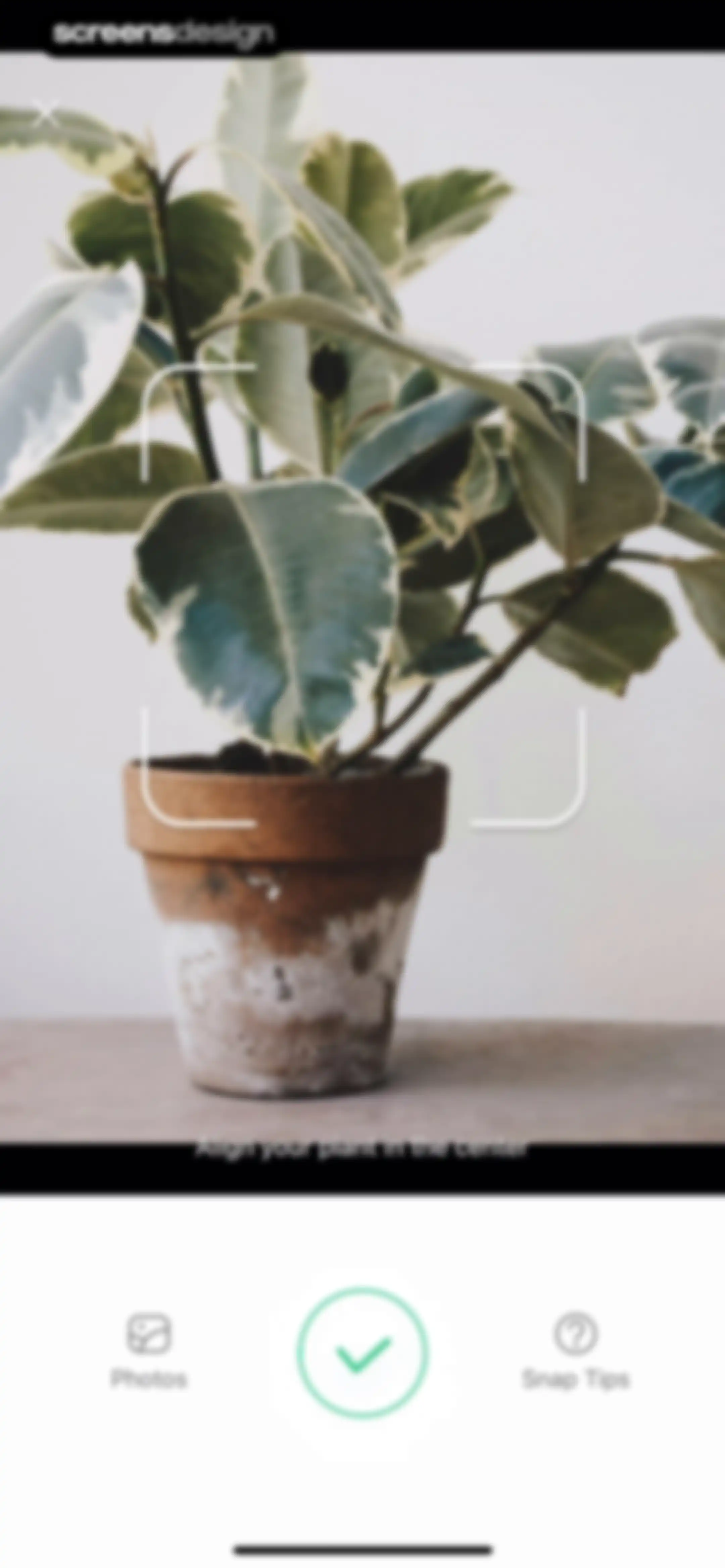 Plant Parent: Plant Care Guide screen 167