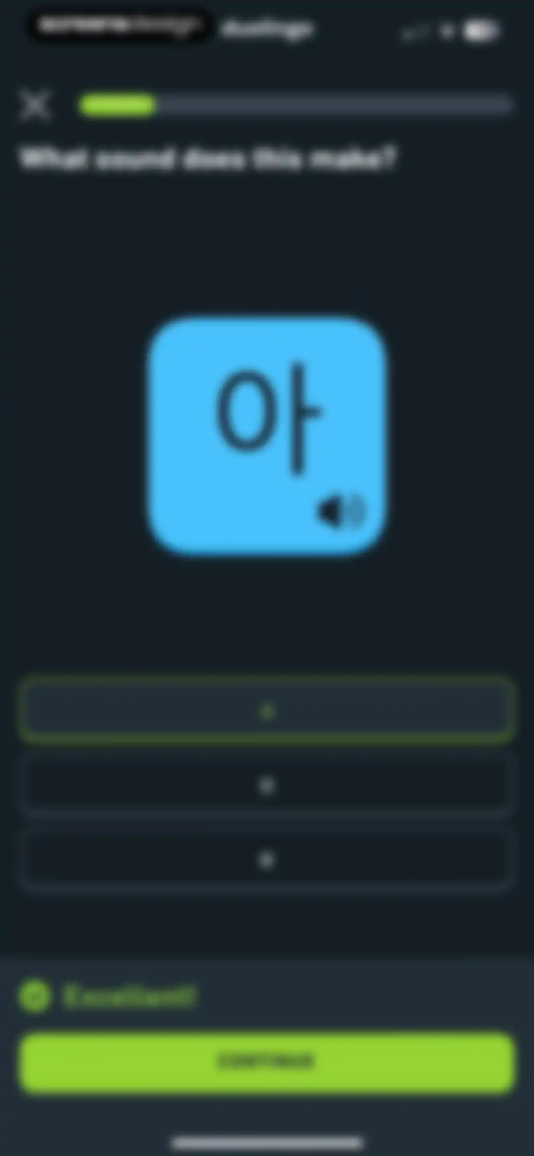 Duolingo: Language Lessons screen 22