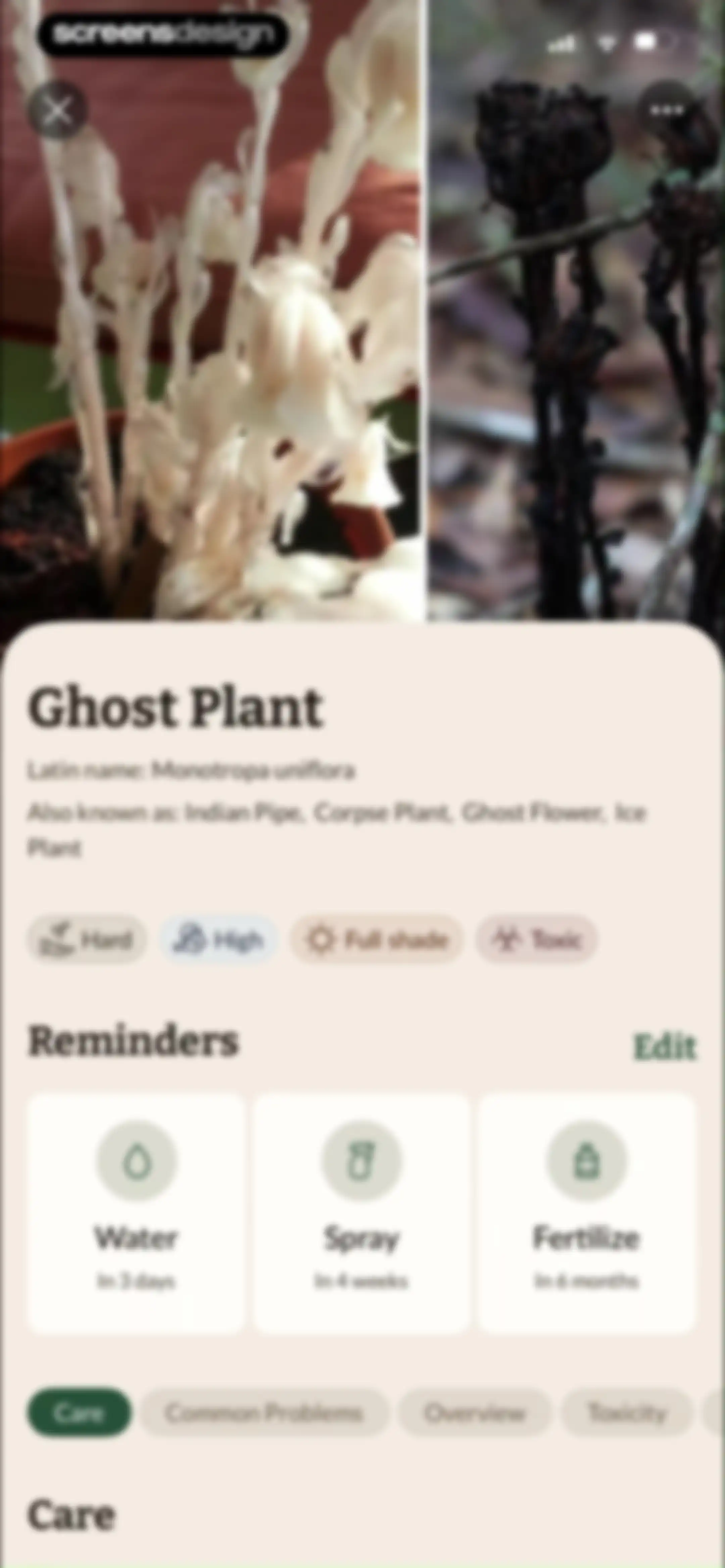 Plant Identification－Plantaria screen 88