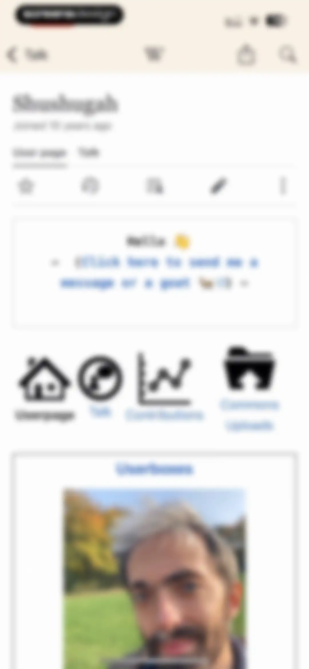 Wikipedia screen 45
