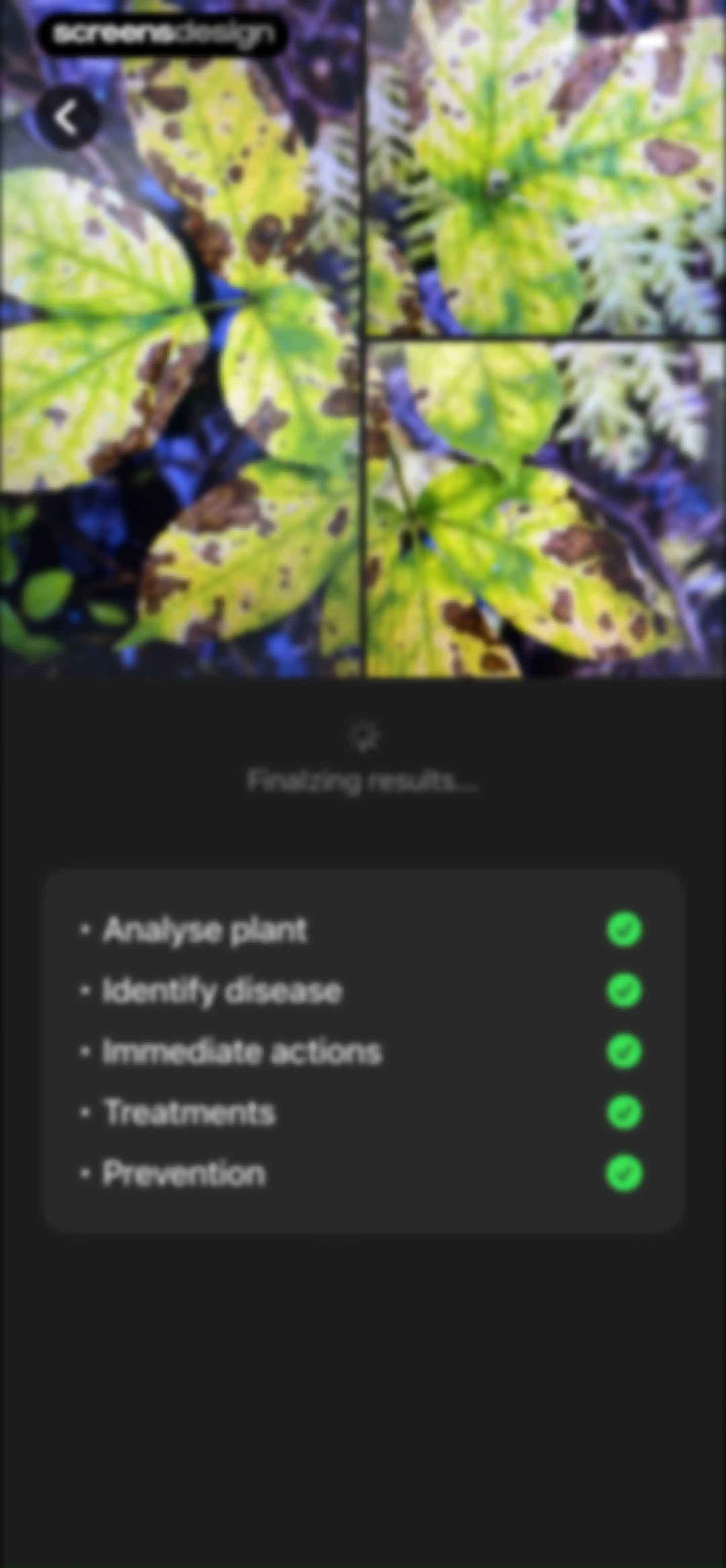 Free Plant Identifier screen 36