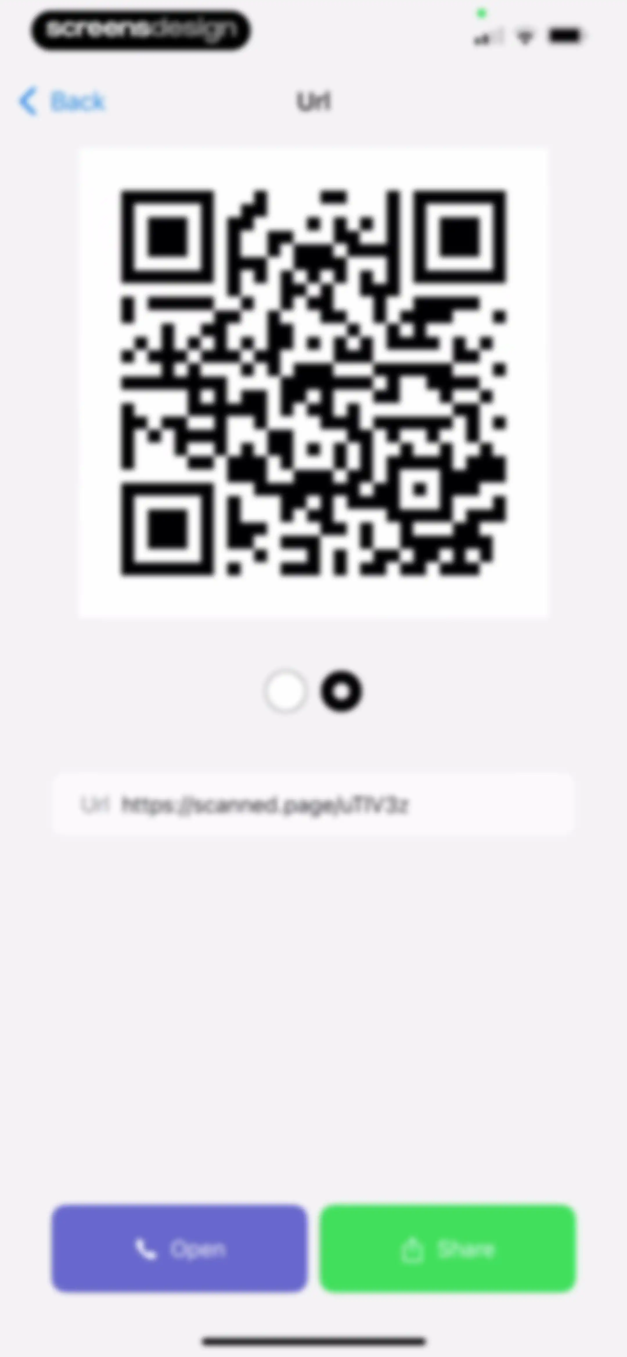 QR Scanner Pro * screen 27