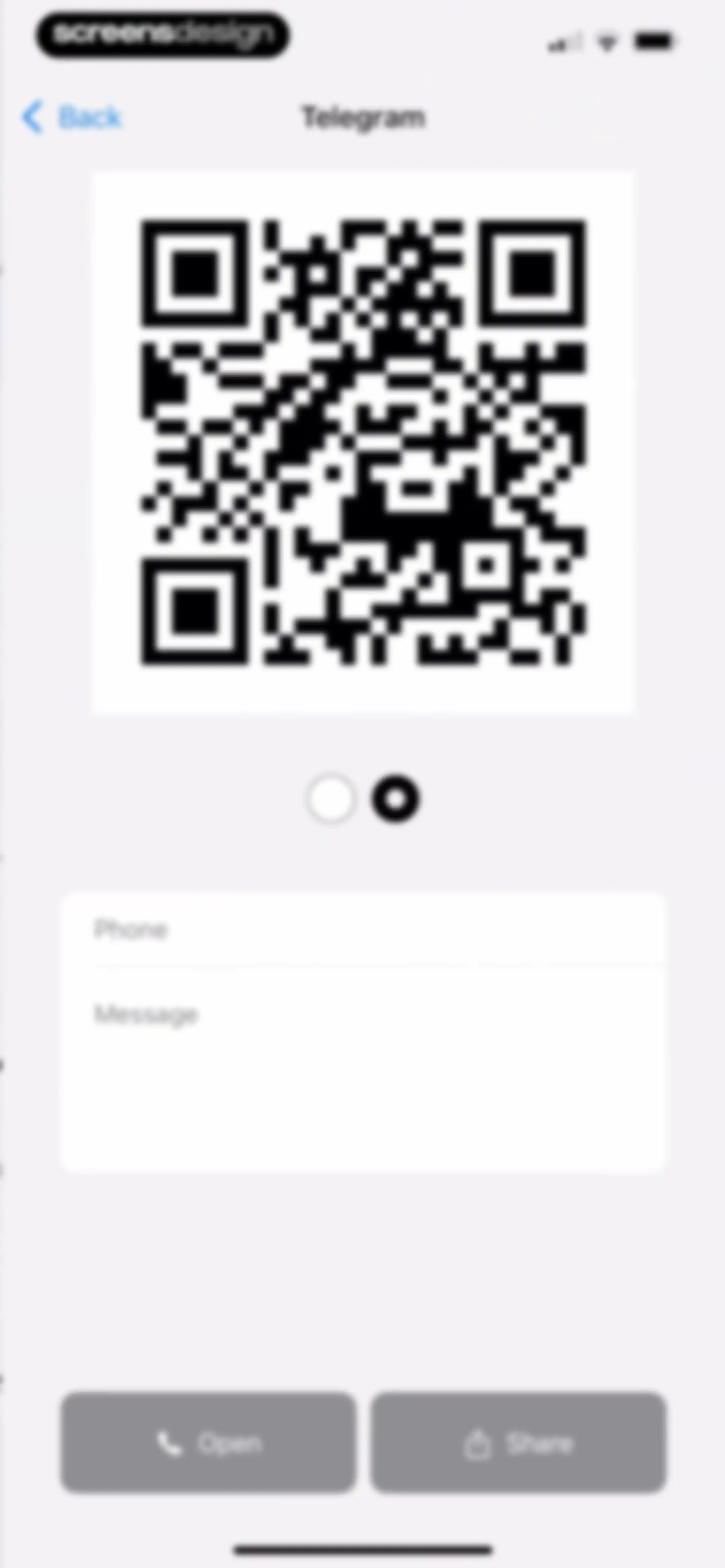 QR Scanner Pro * screen 16