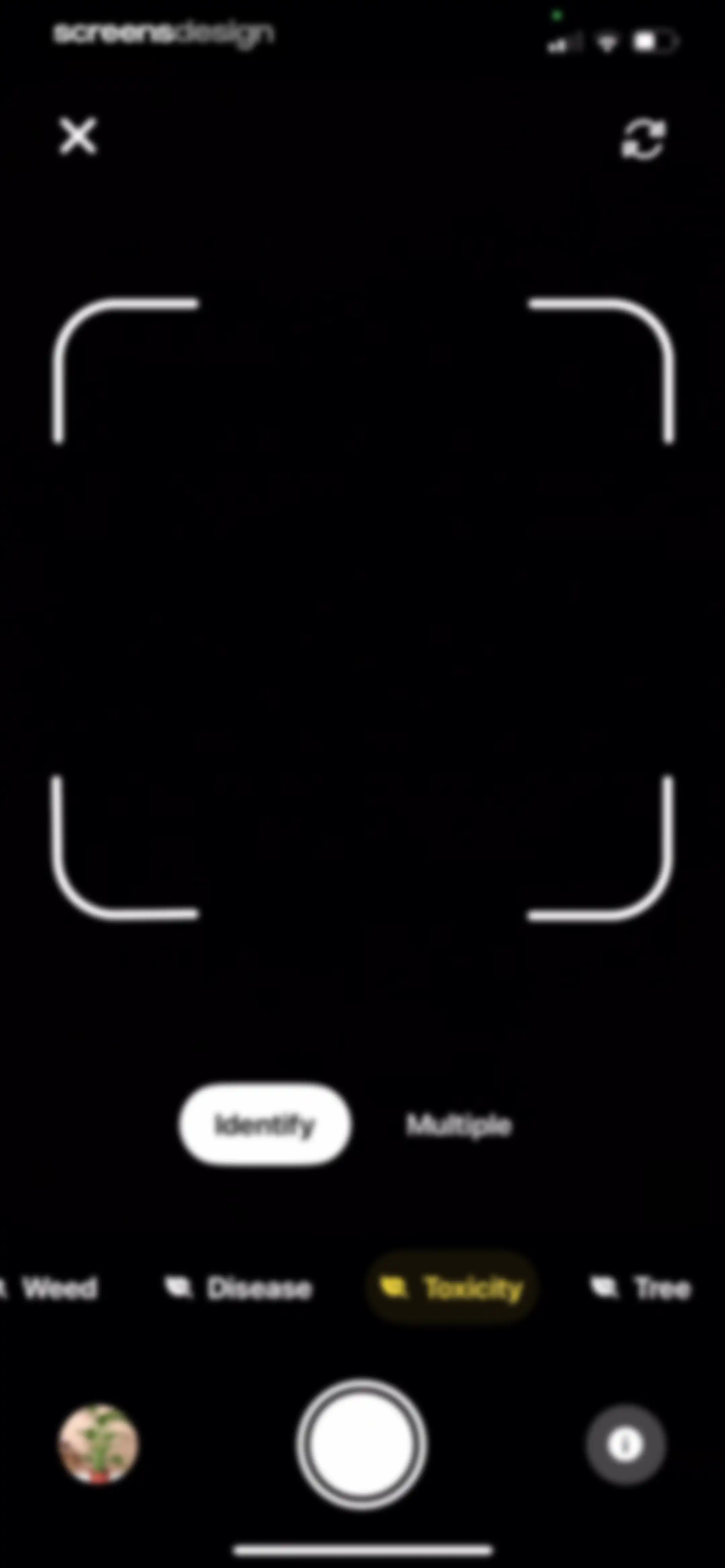 Plant App: Plant Identifier screen 159