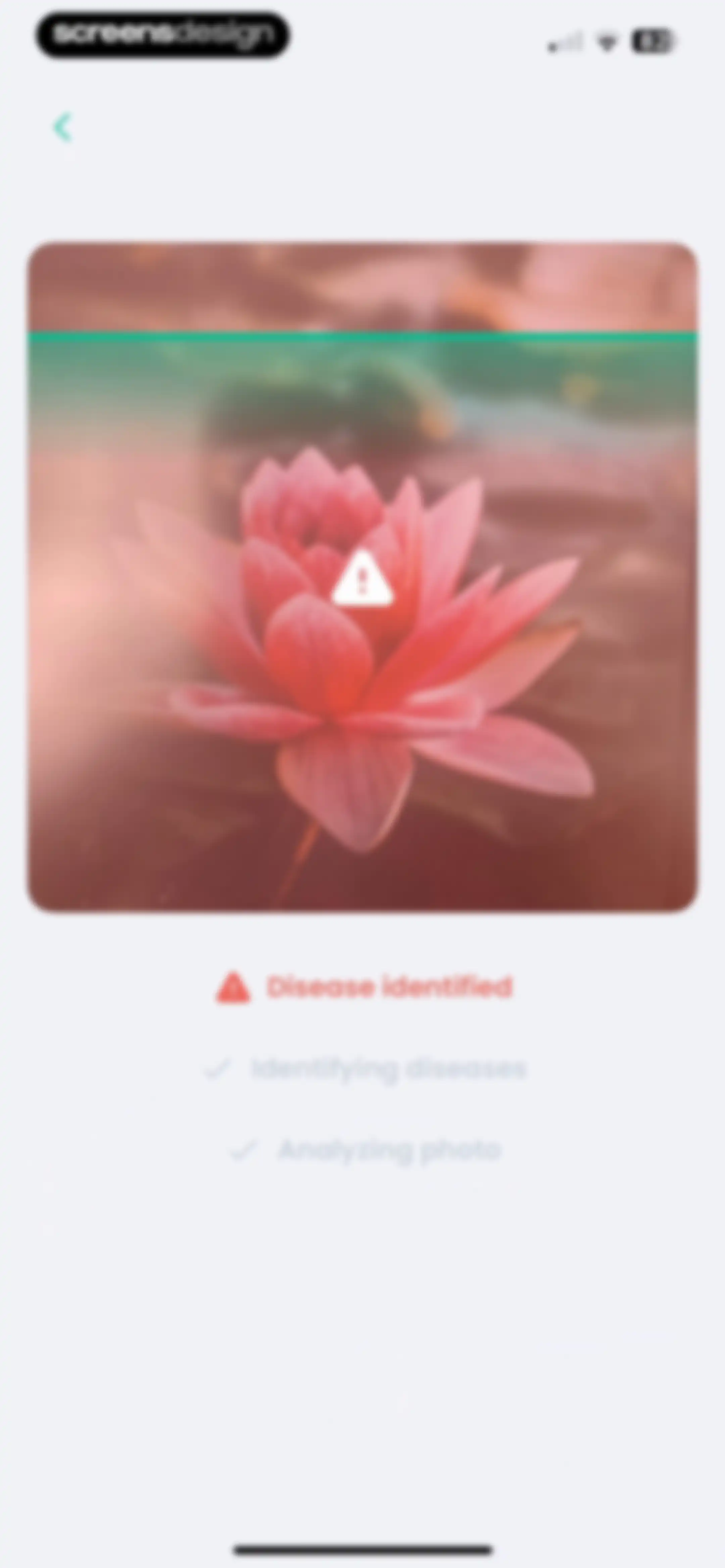 PlantIn: Plant Identifier・Care screen 73