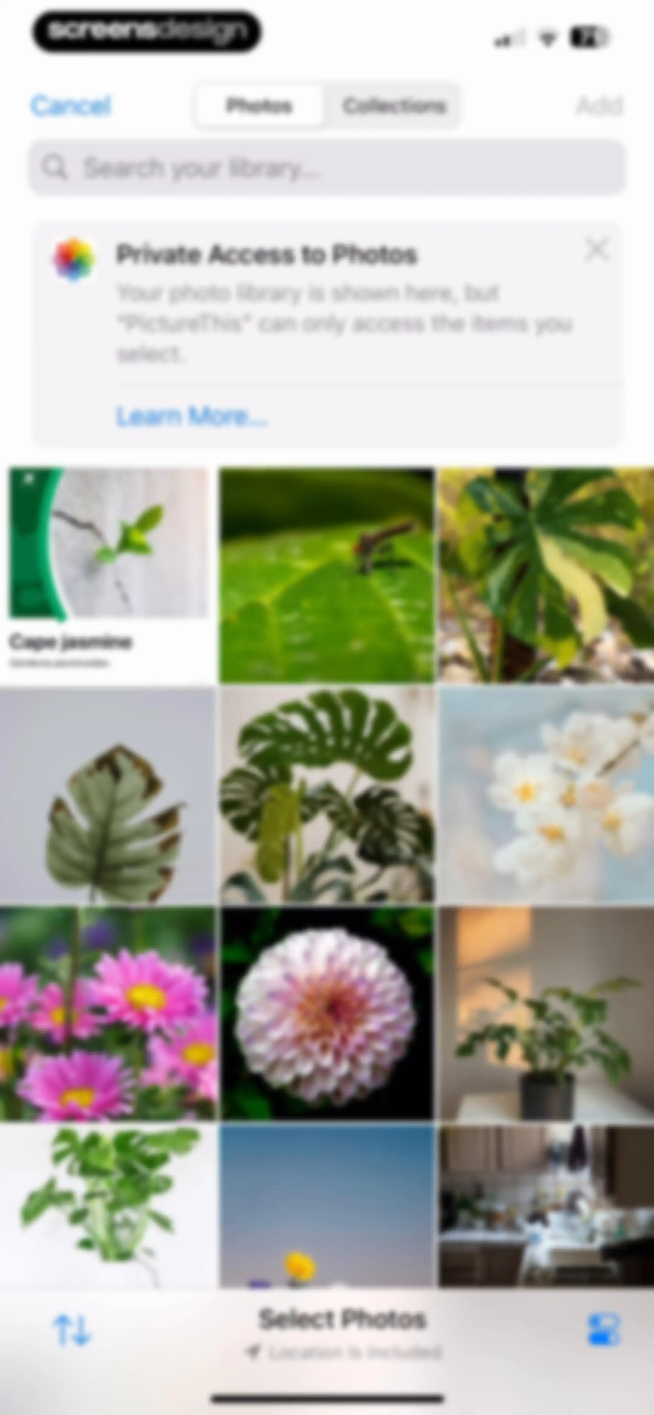 PictureThis - Plant Identifier screen 149