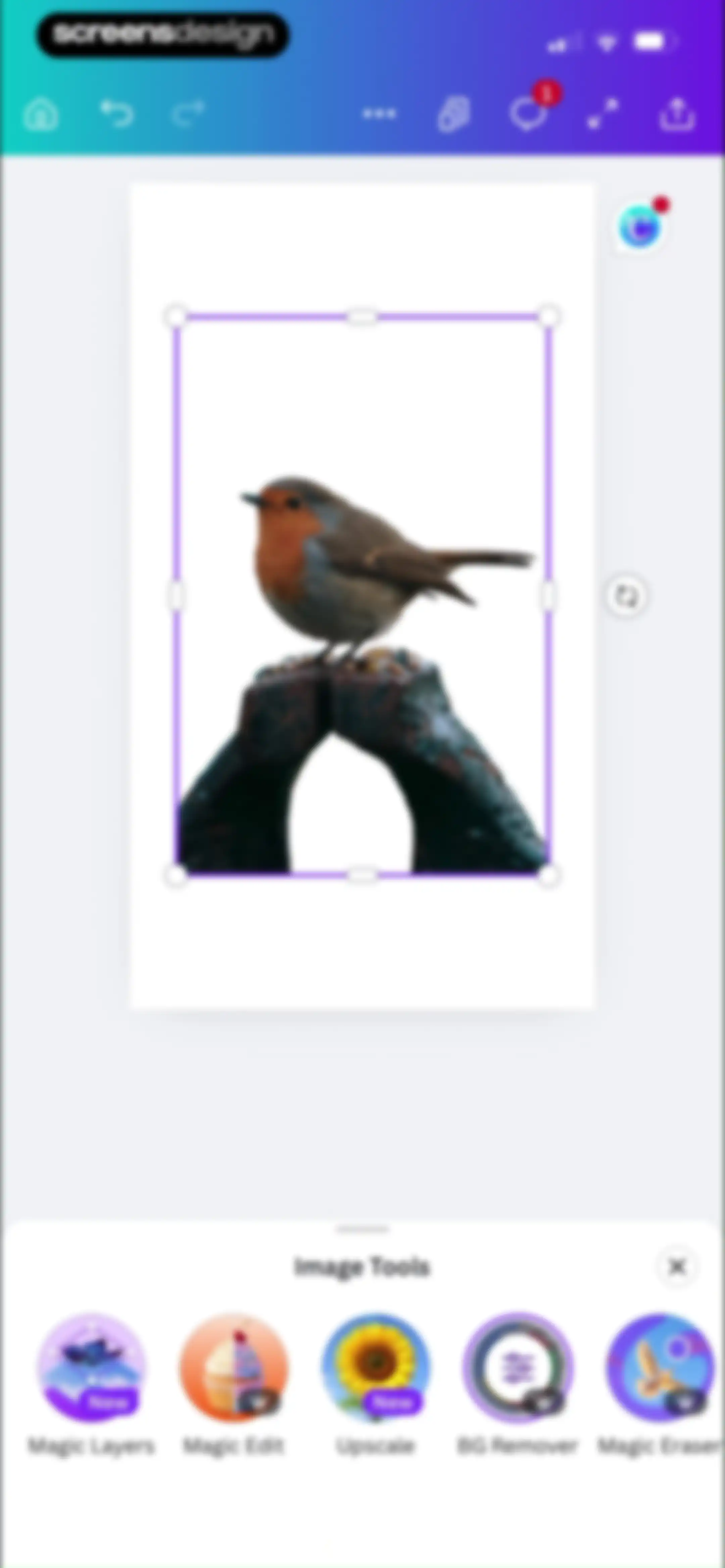 Canva: AI Video & Photo Editor screen 42