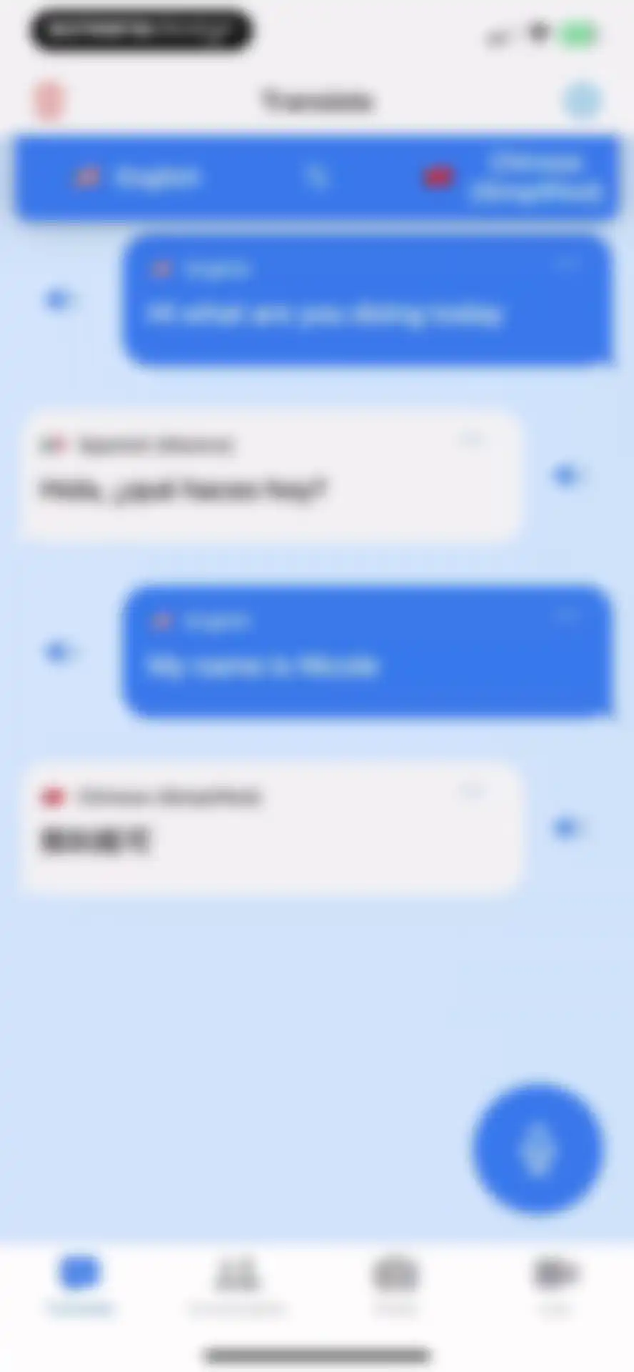 Translate Anything screen 13