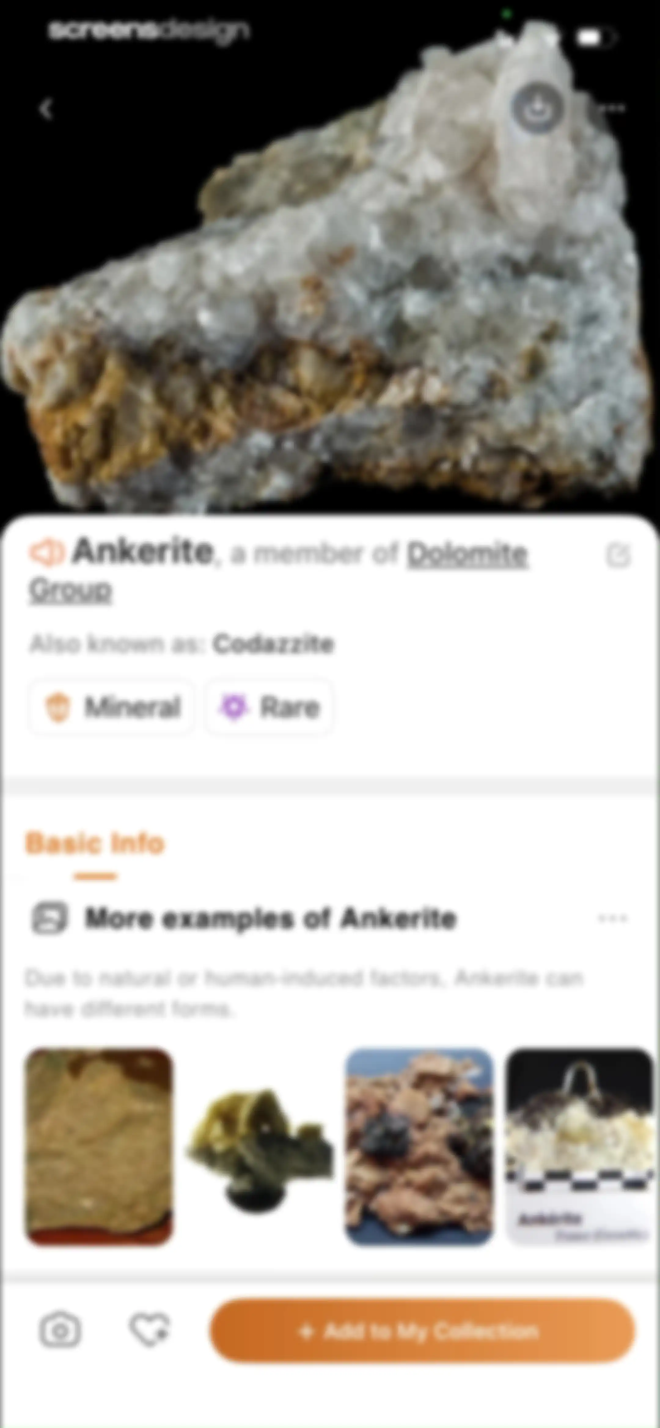 Rock Identifier: Stone ID screen 48