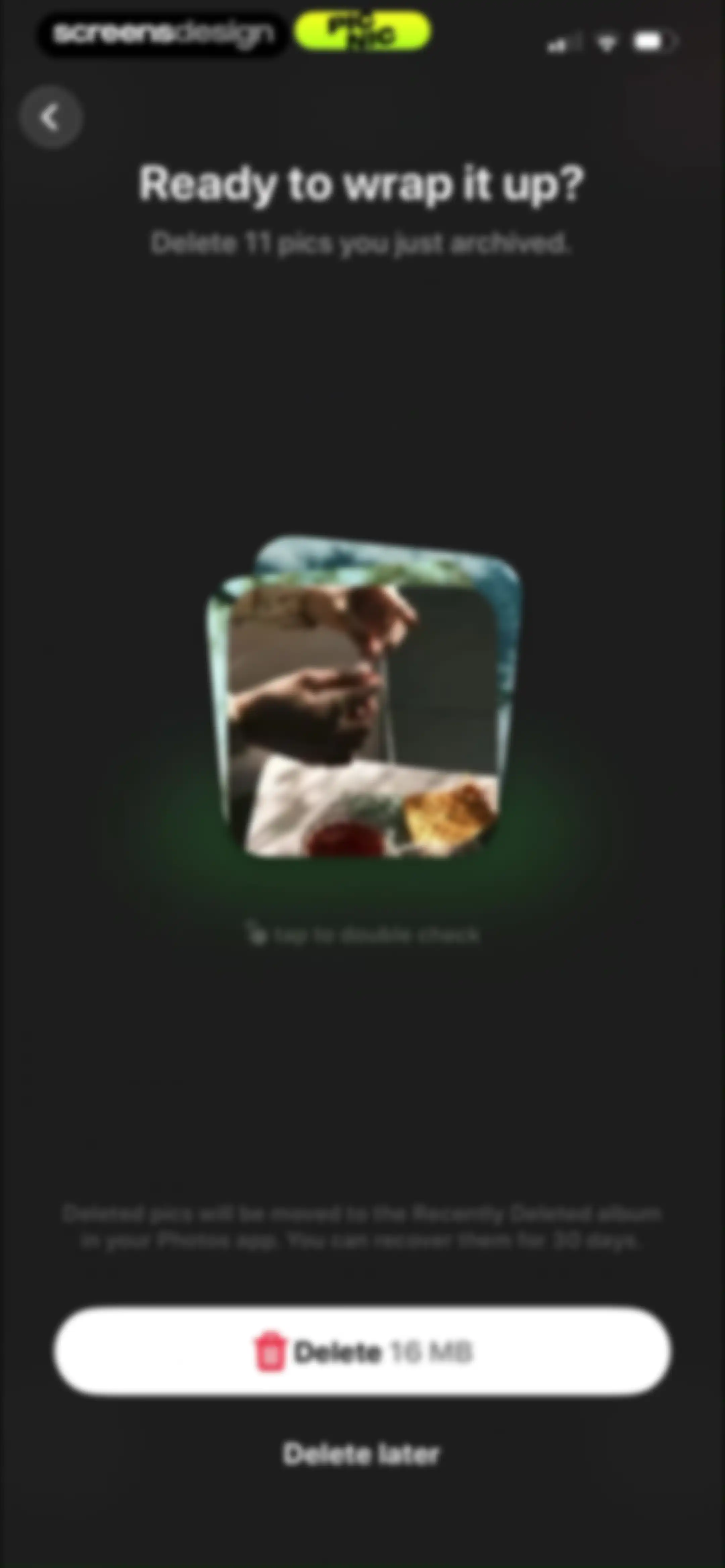 Photo Organizer: Picnic screen 51
